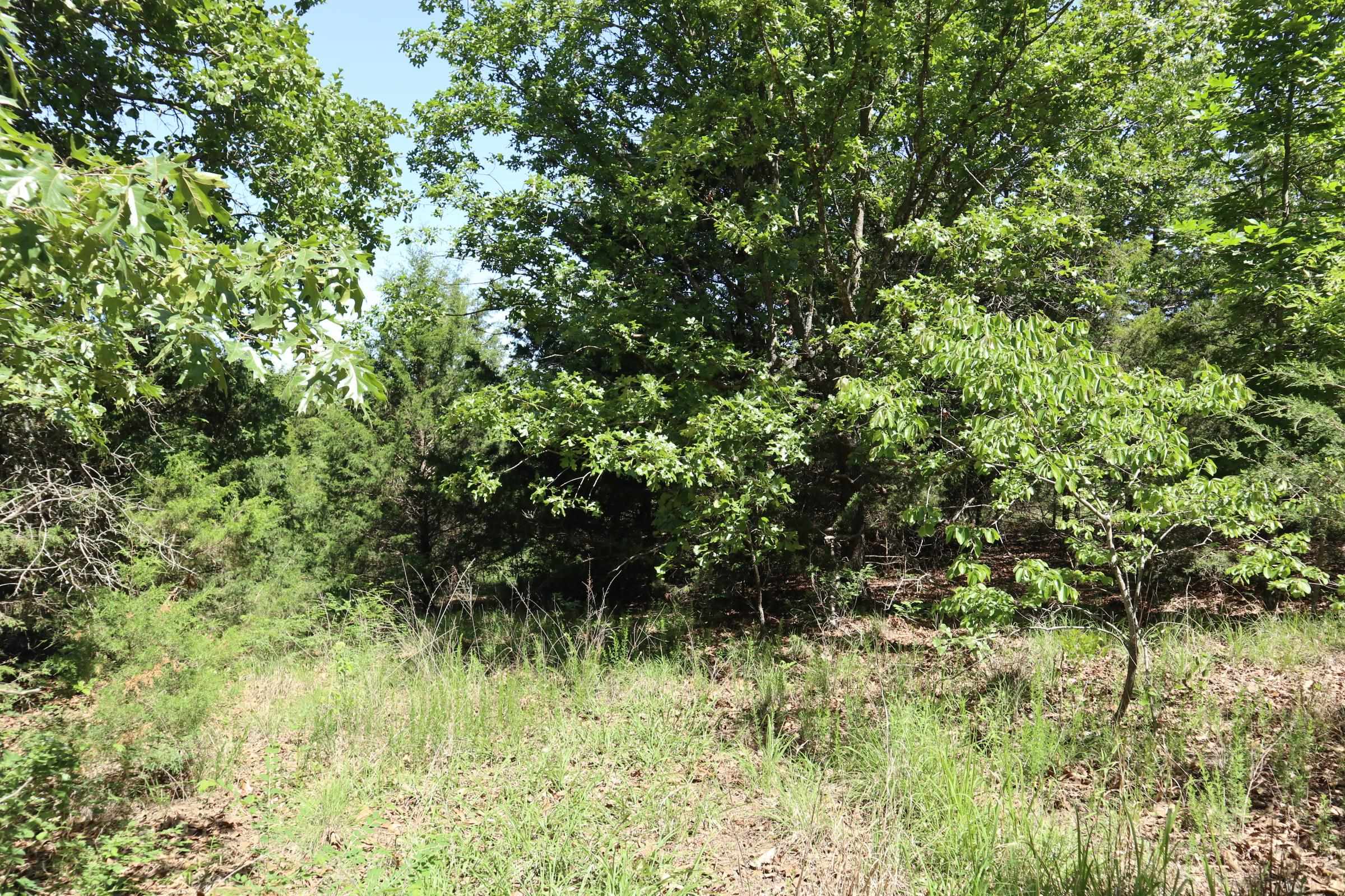 TBD Browns Chapel Rd  Viola, AR