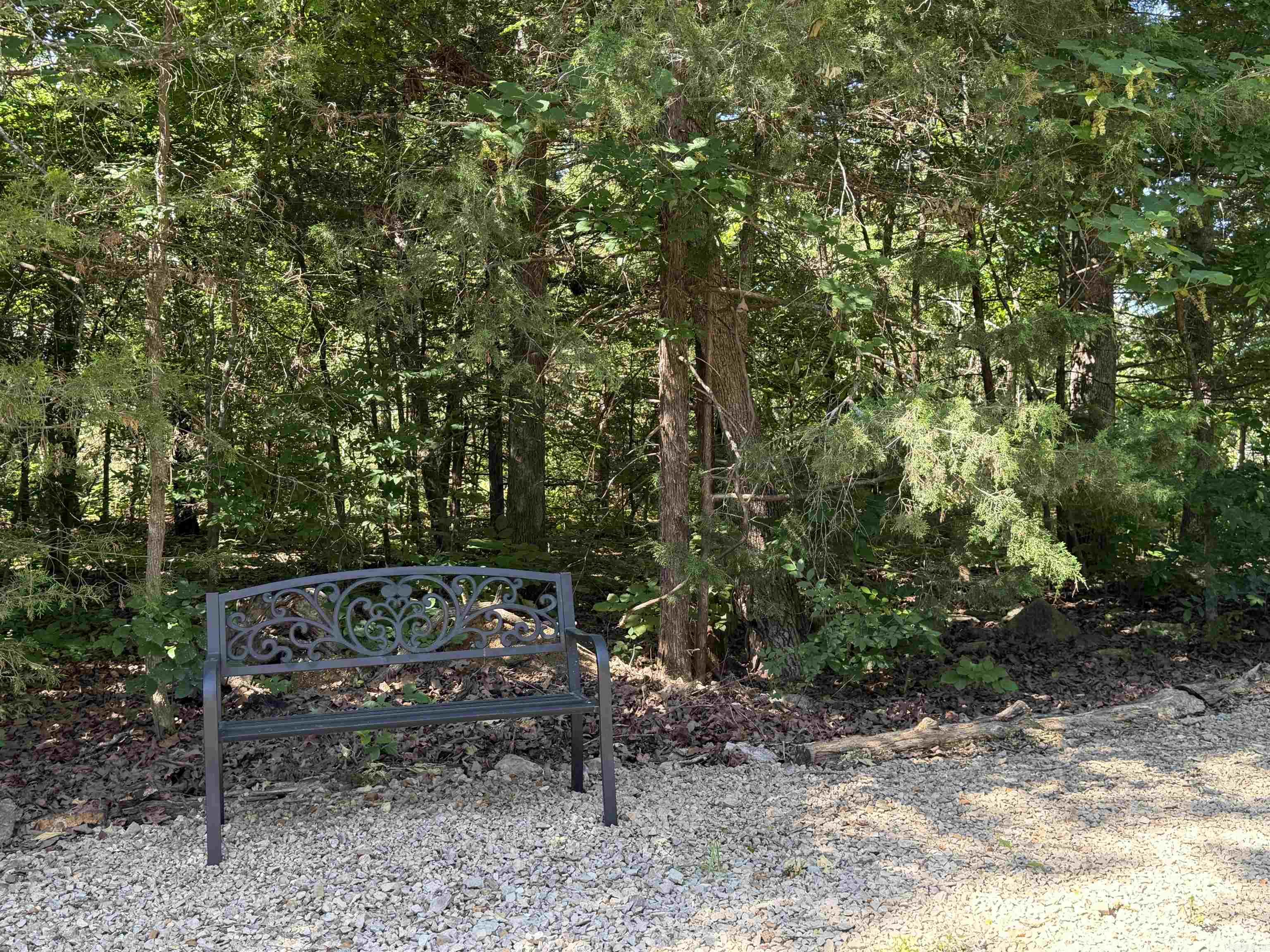 71 Gilbreath Road  Ash Flat, AR