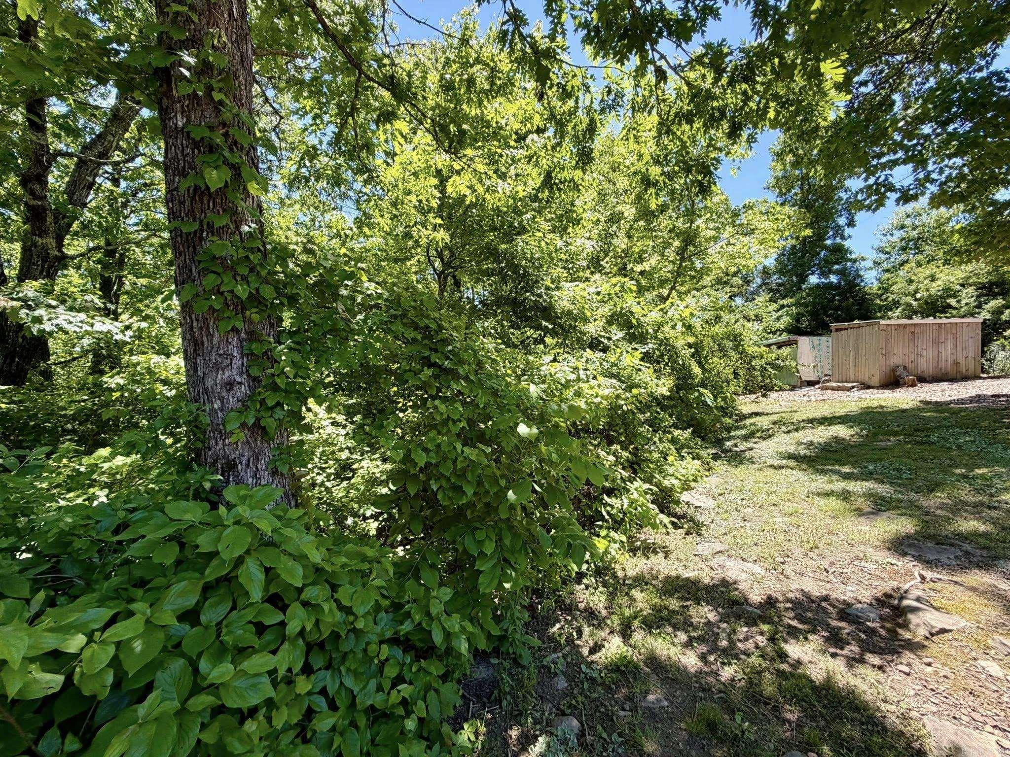6356 Sunny Fox Rd.  Mountain View, AR