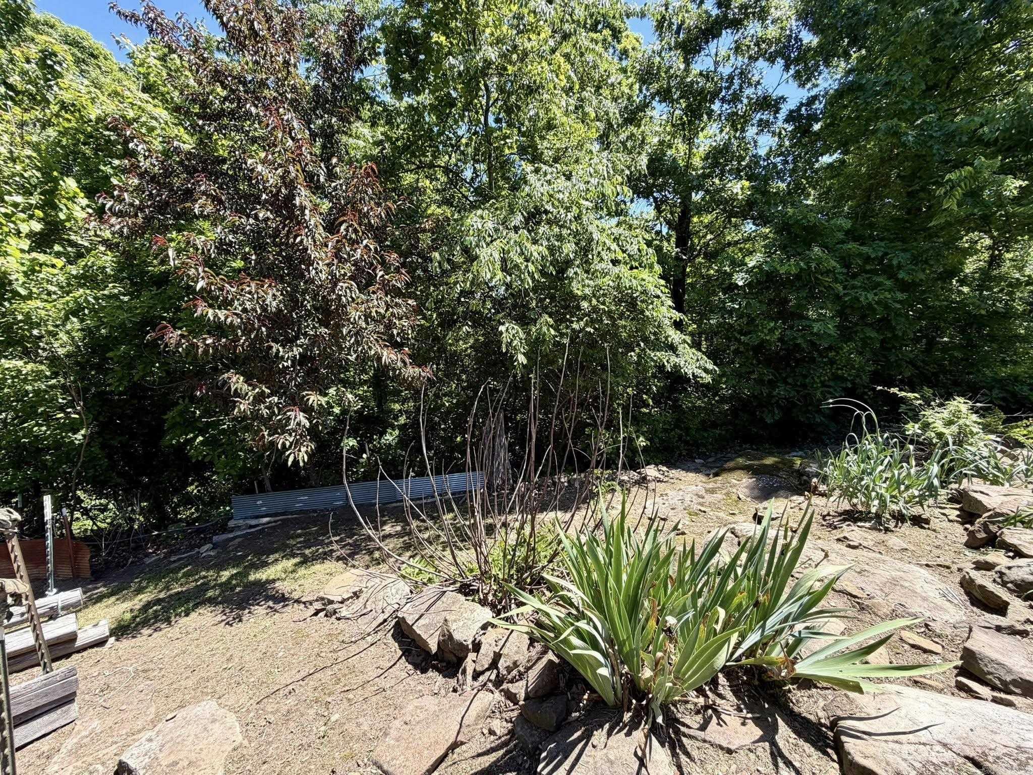 6356 Sunny Fox Rd.  Mountain View, AR