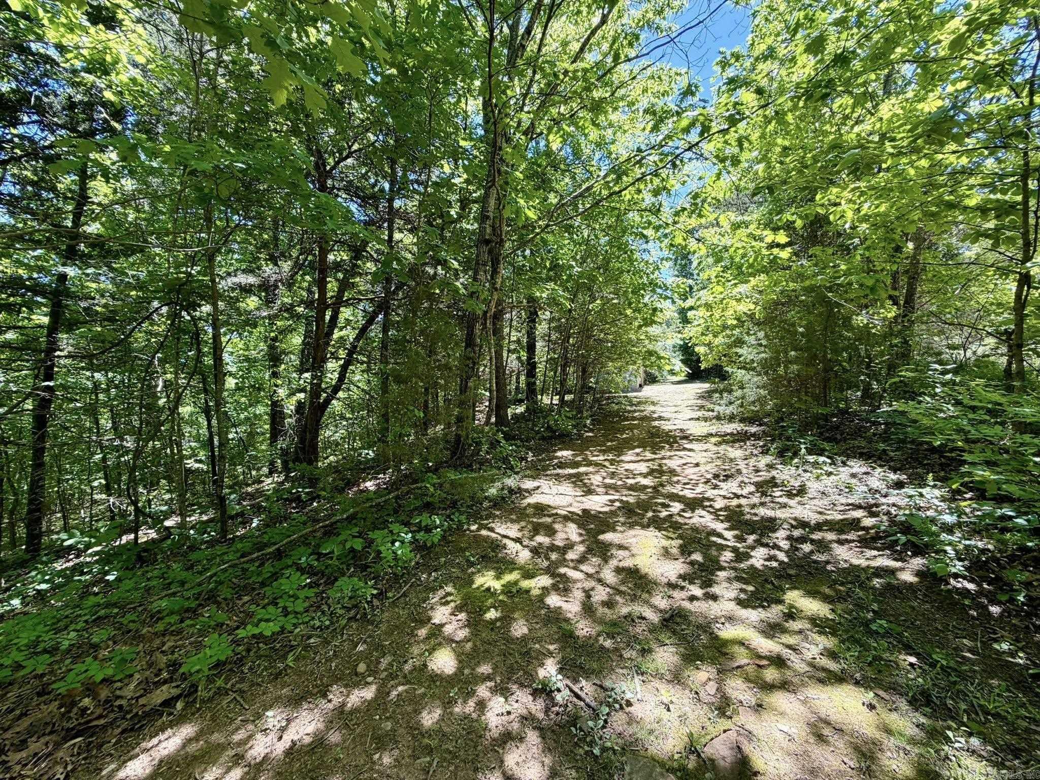 6356 Sunny Fox Rd.  Mountain View, AR
