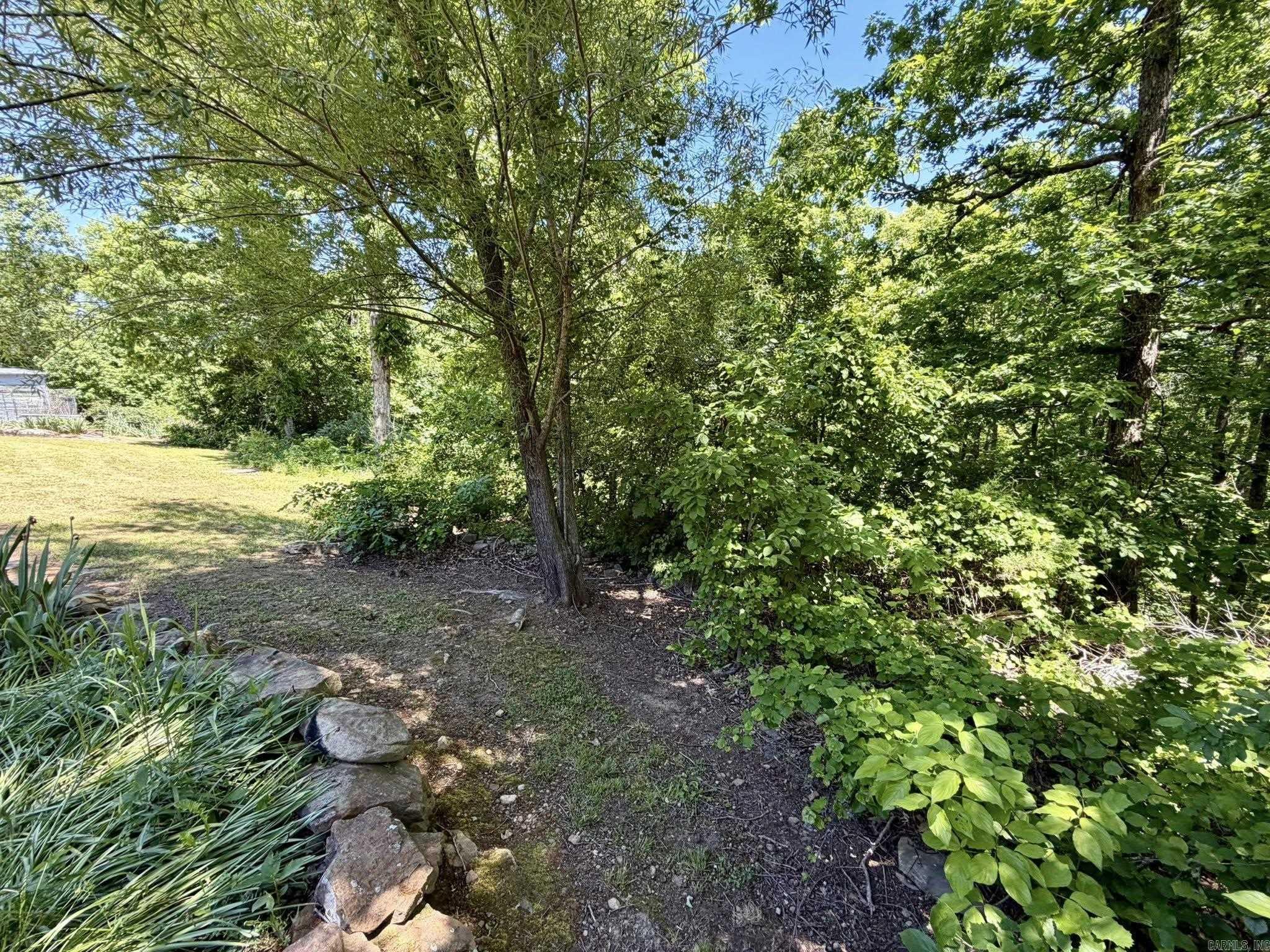 6356 Sunny Fox Rd.  Mountain View, AR