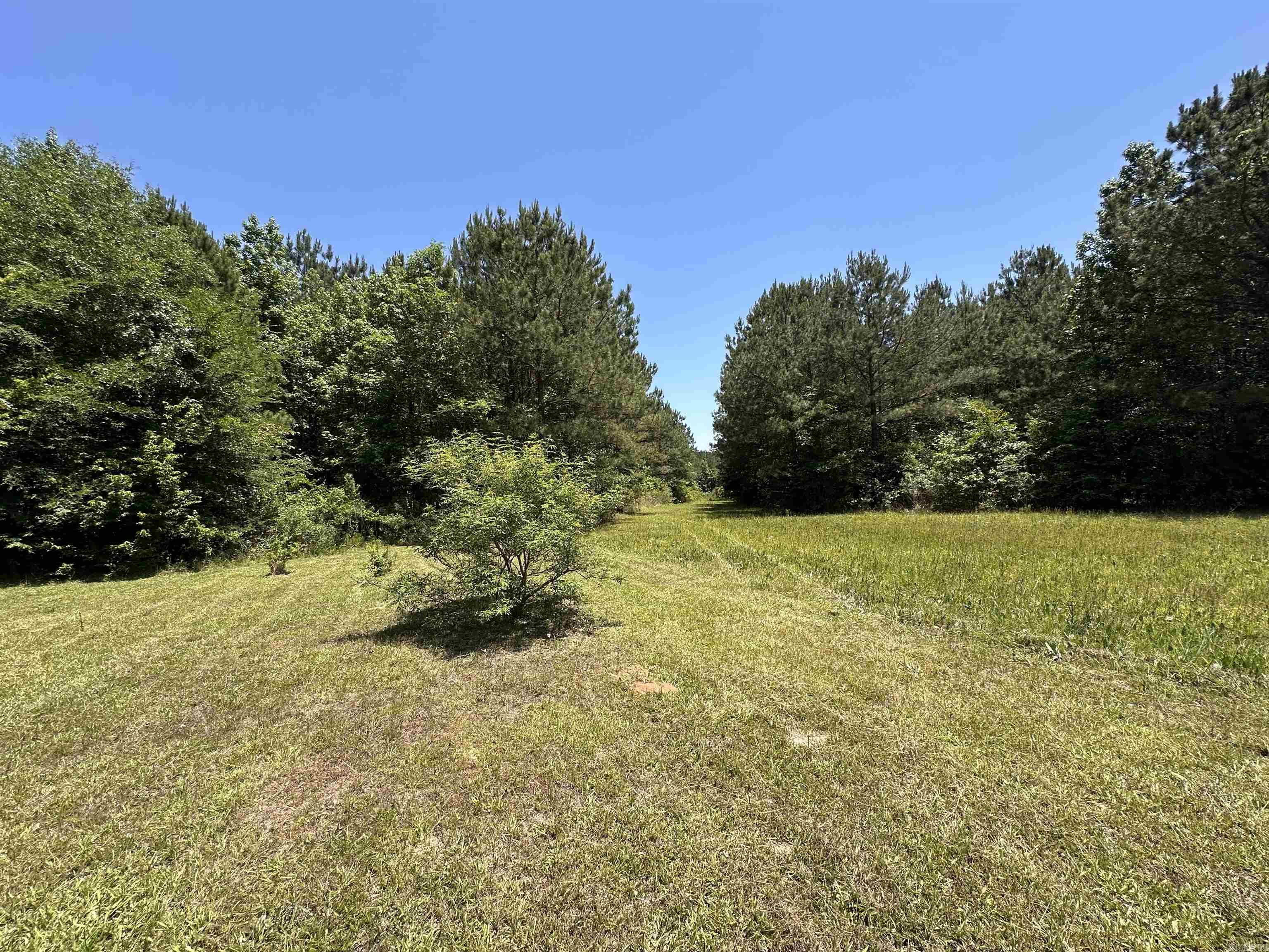 1533 E Columbia Road 2  Emerson, AR