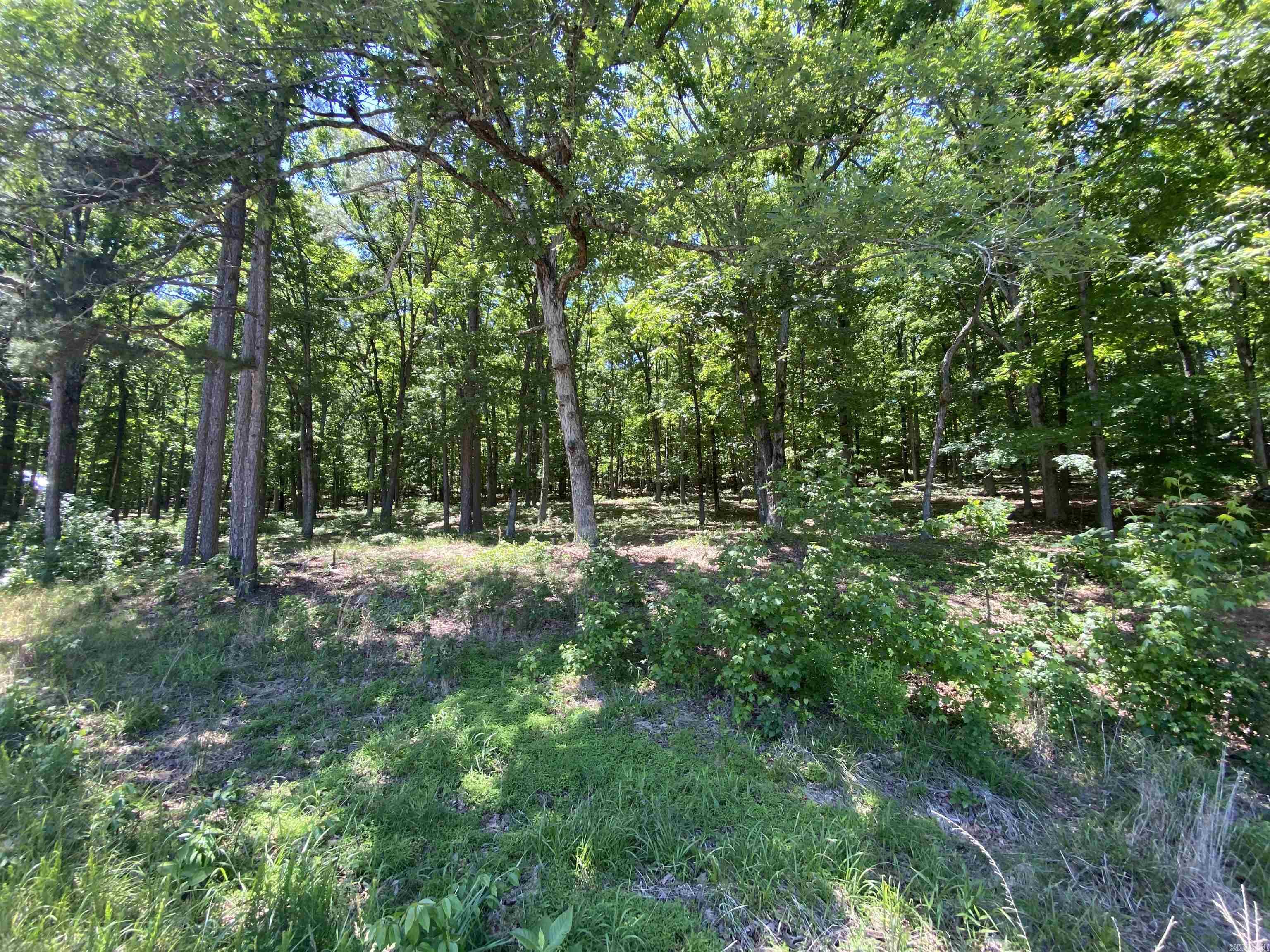 215 Watersedge Drive  Edgemont, AR
