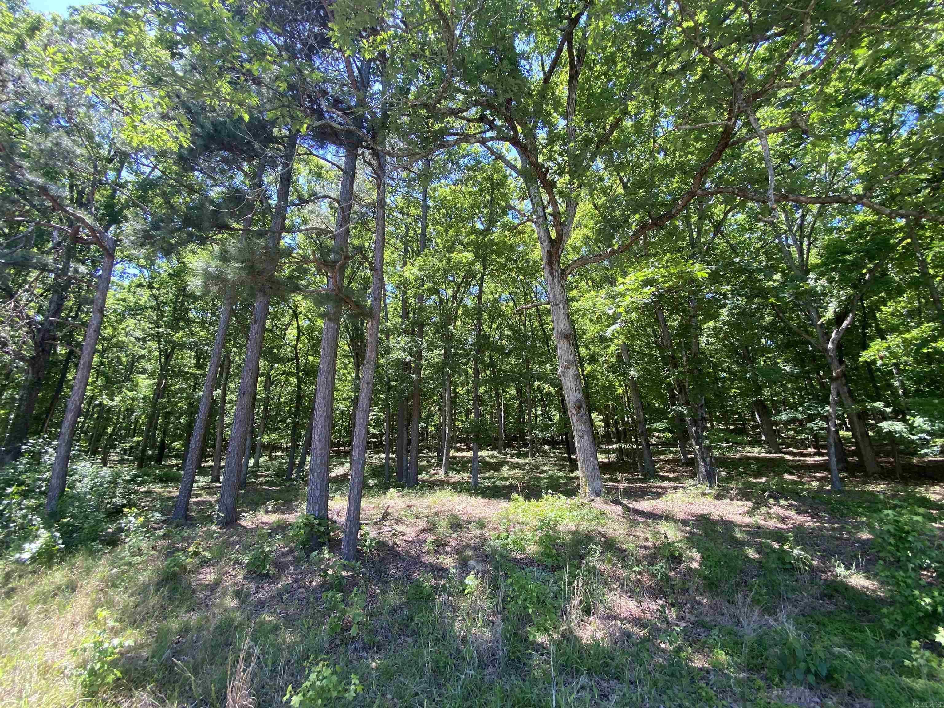 215 Watersedge Drive  Edgemont, AR