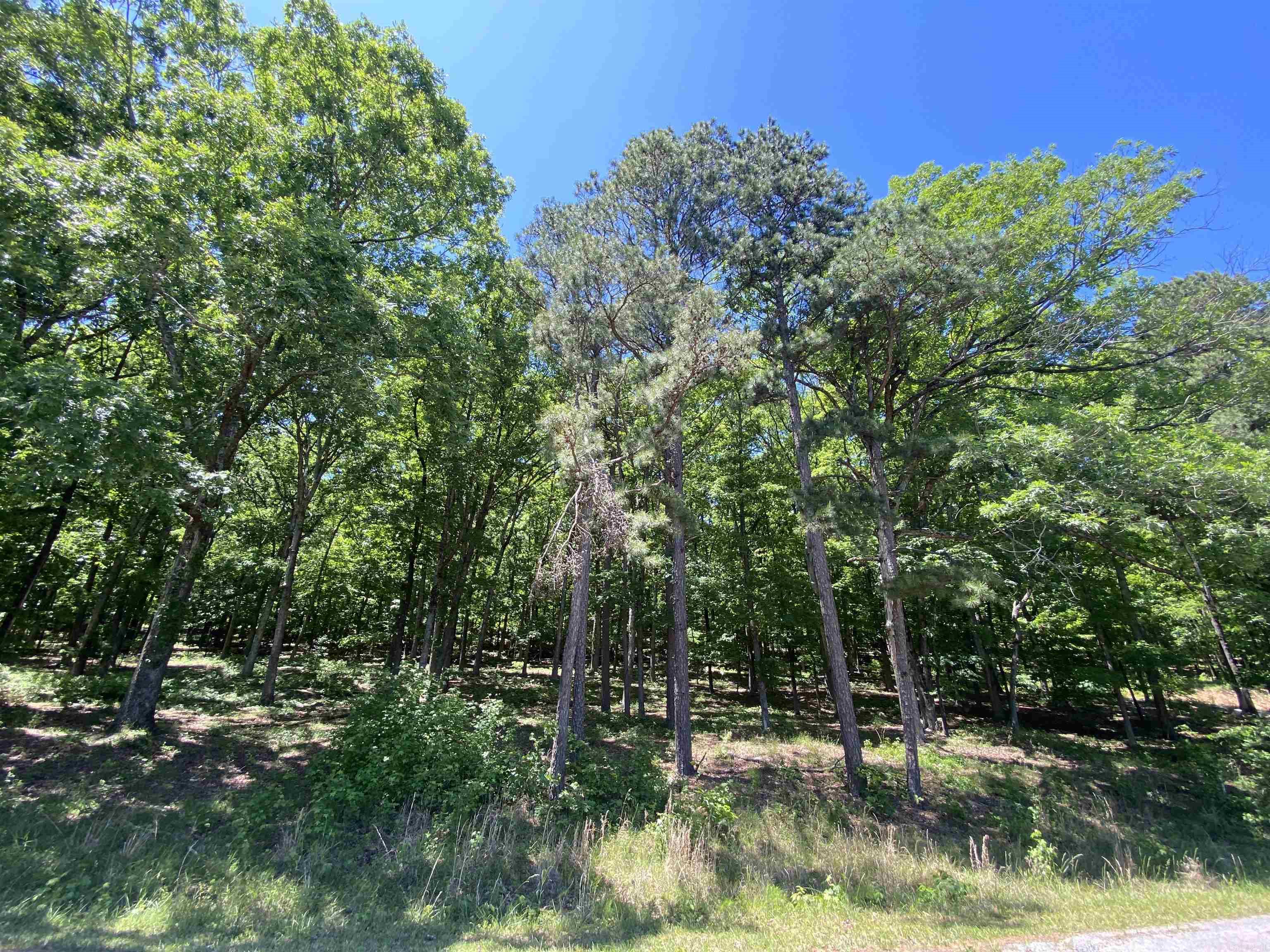 215 Watersedge Drive  Edgemont, AR