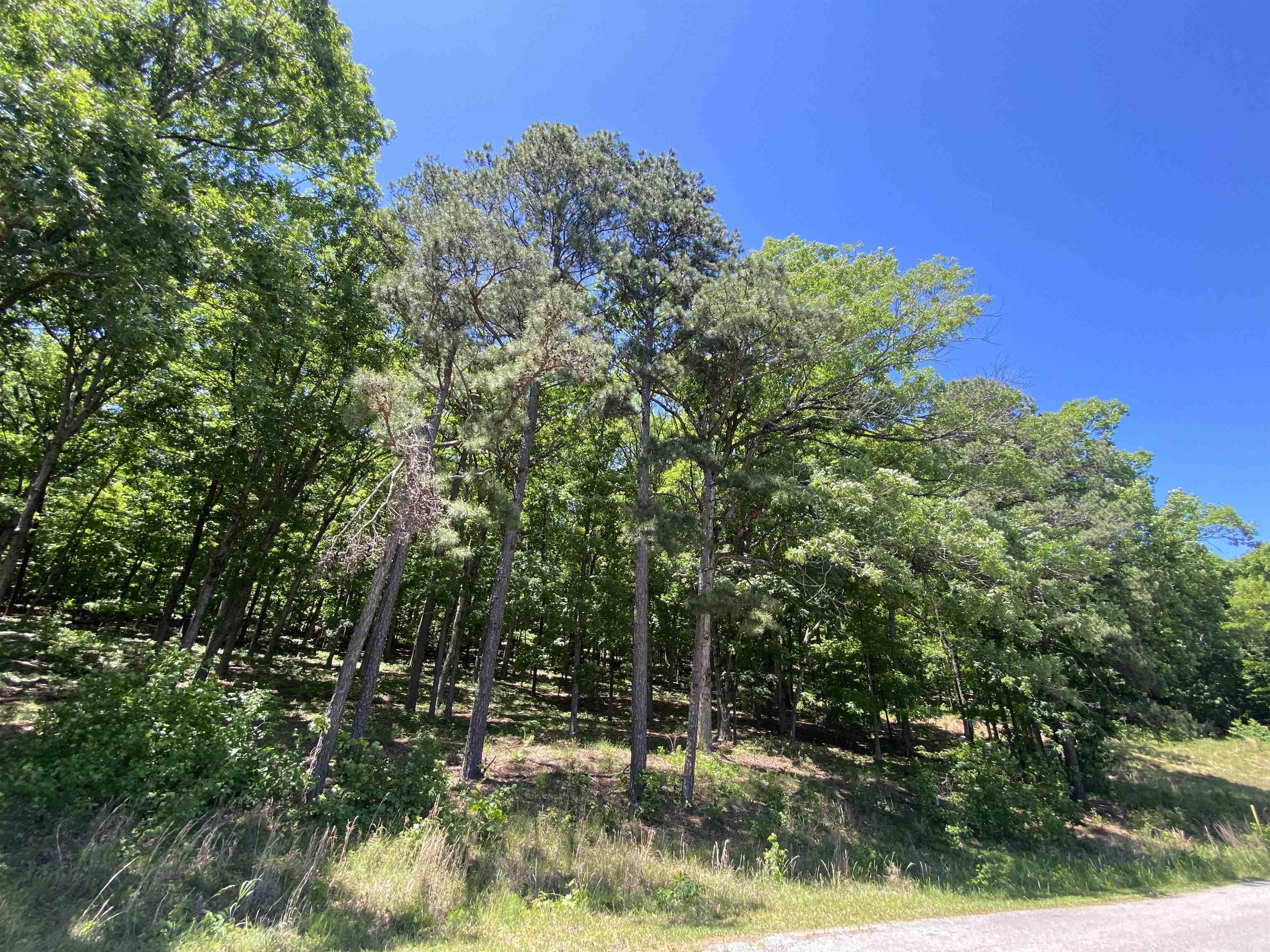 215 Watersedge Drive  Edgemont, AR