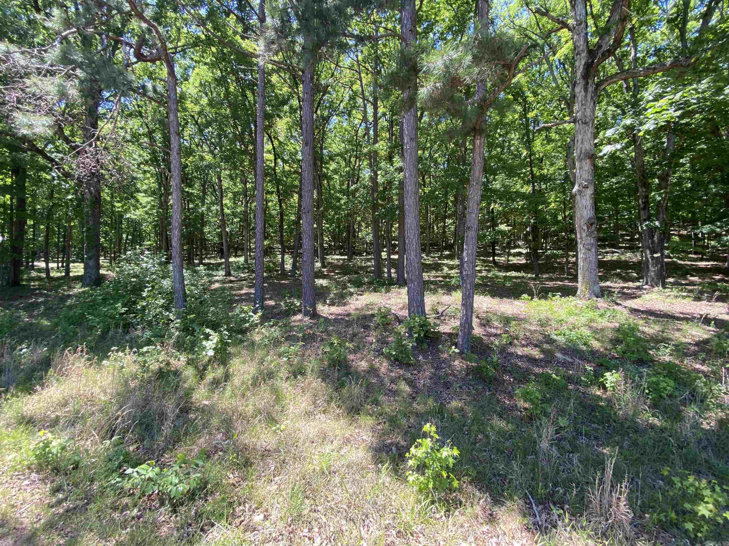 215 Watersedge Drive  Edgemont, AR