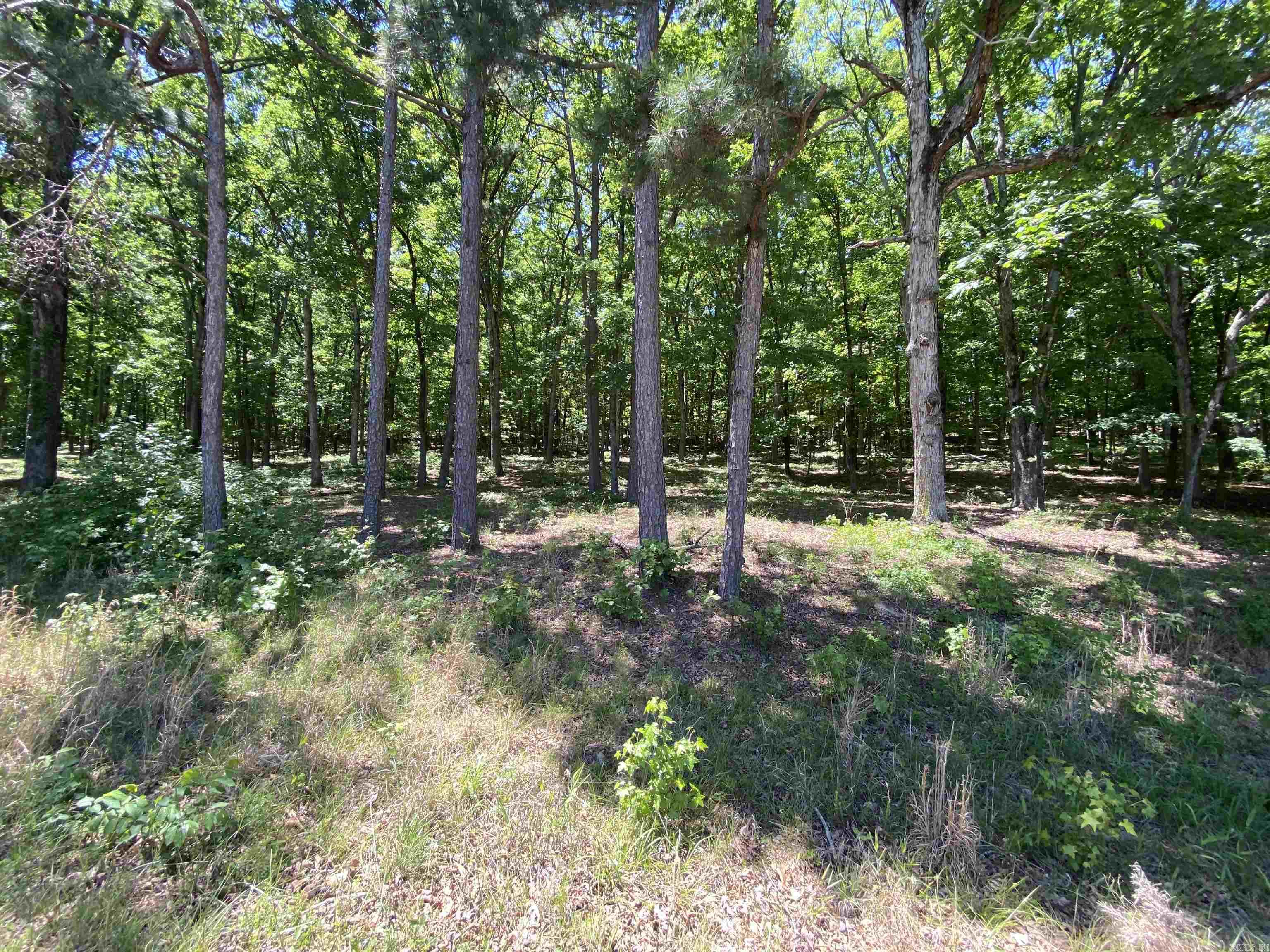 215 Watersedge Drive  Edgemont, AR