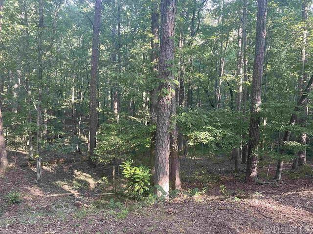 Lot 29 Carballo  Hot Springs Village, AR