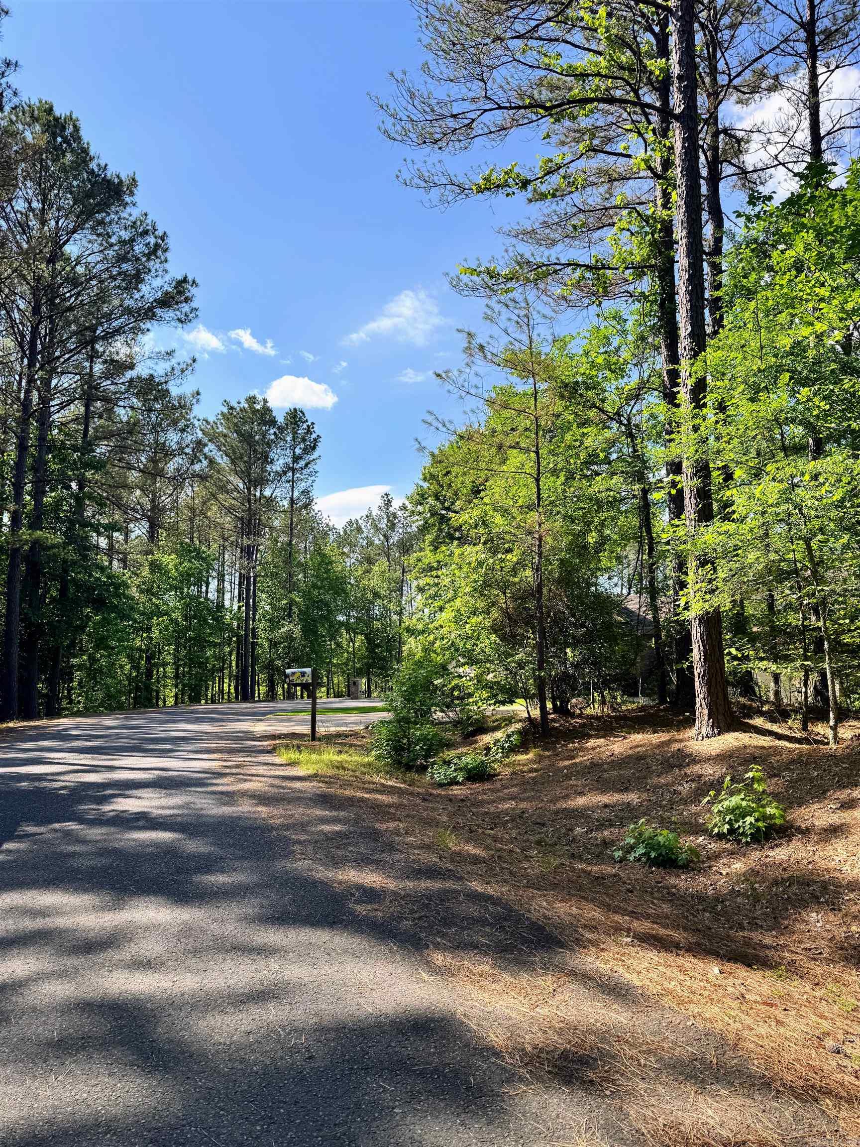 32 Ruedo  Hot Springs Village, AR