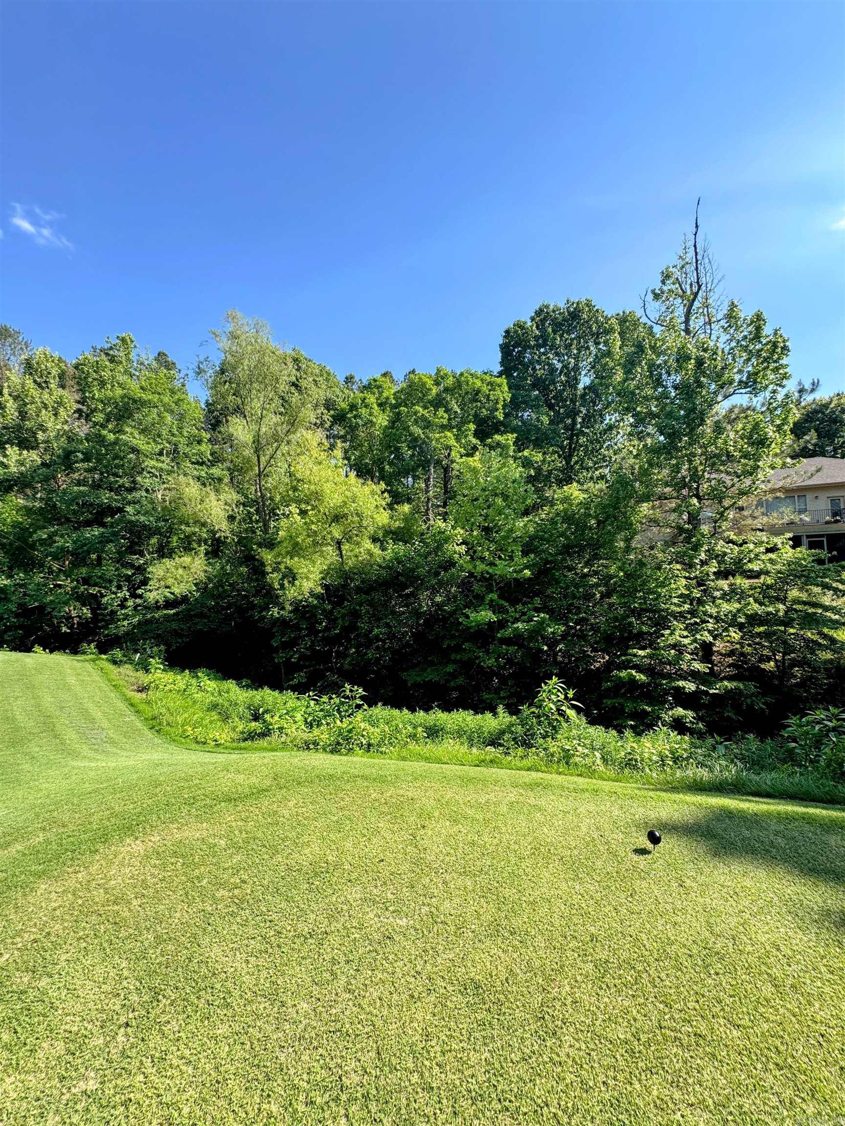 32 Ruedo  Hot Springs Village, AR