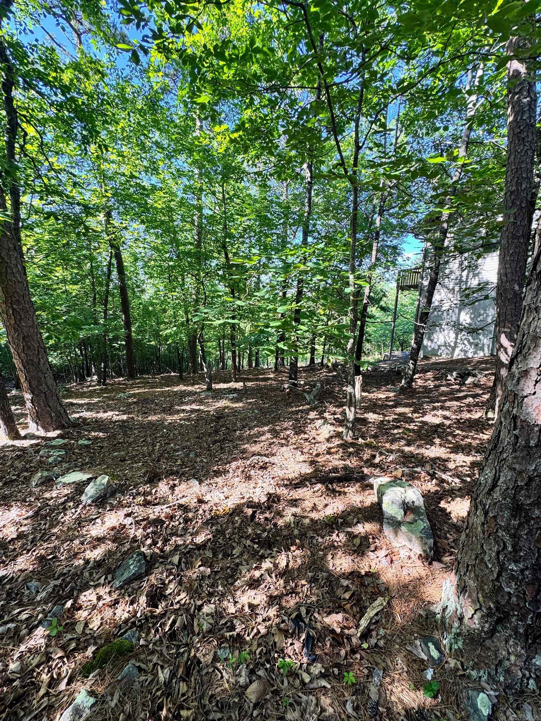 96 Mesero  Hot Spring, AR