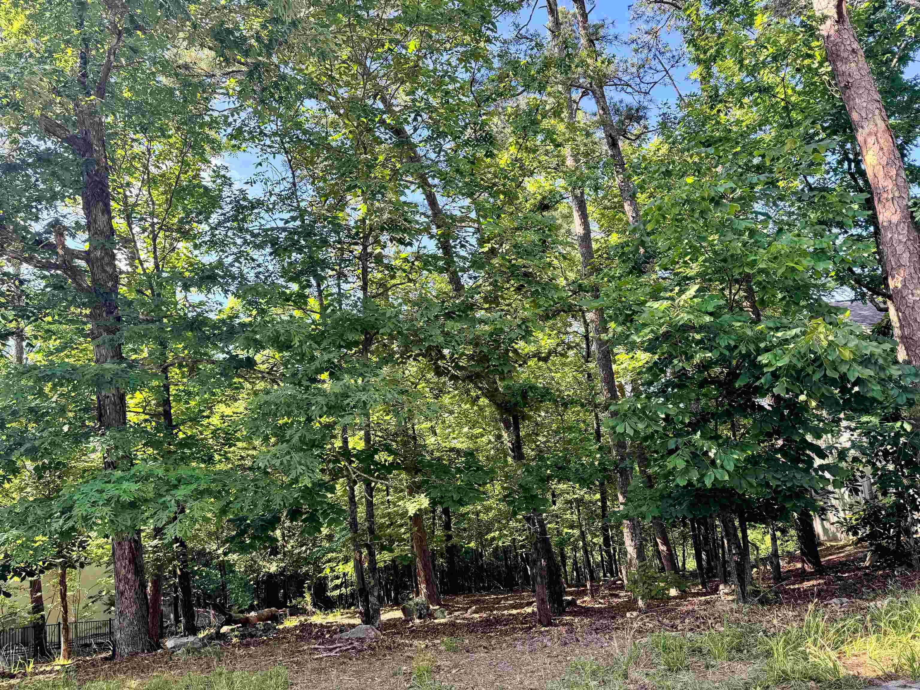 96 Mesero  Hot Spring, AR