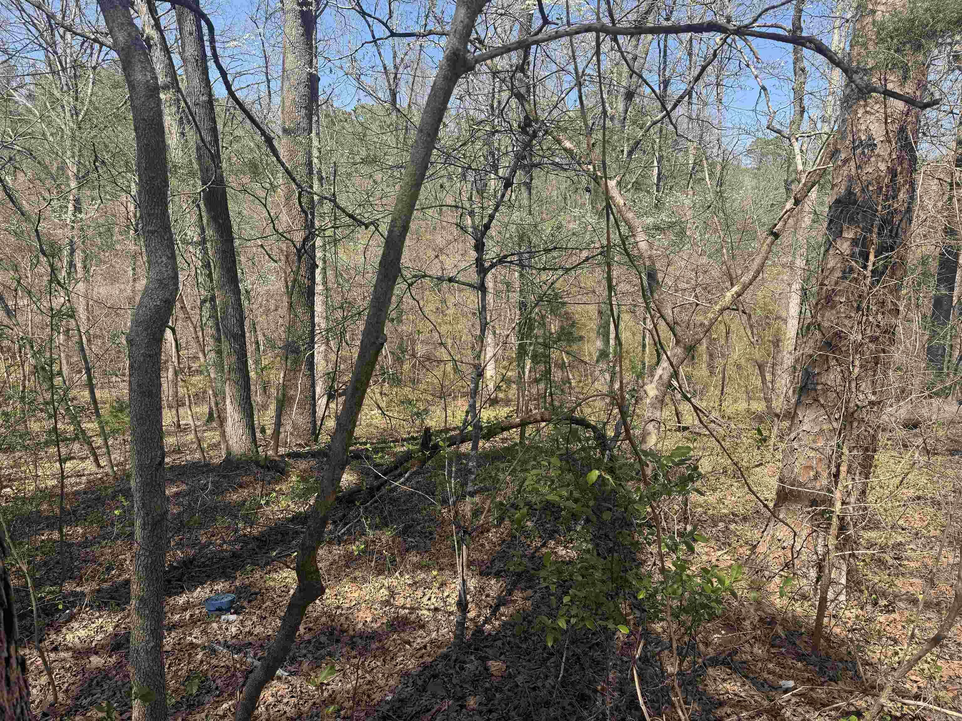 009-00062-000 HWY 177  Salesville, AR