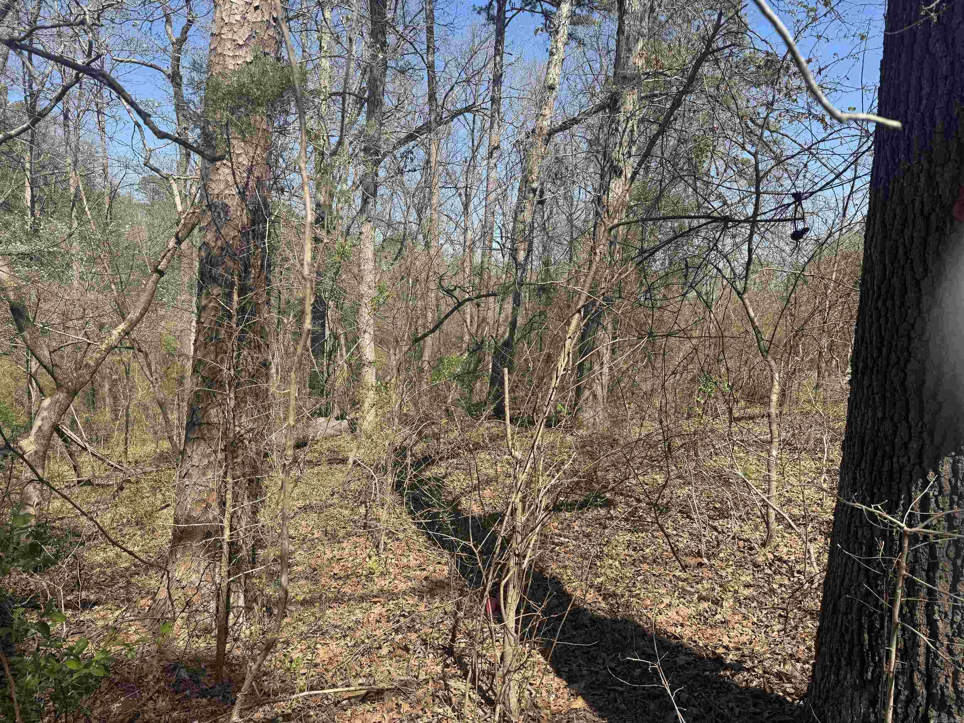 009-00062-000 HWY 177  Salesville, AR