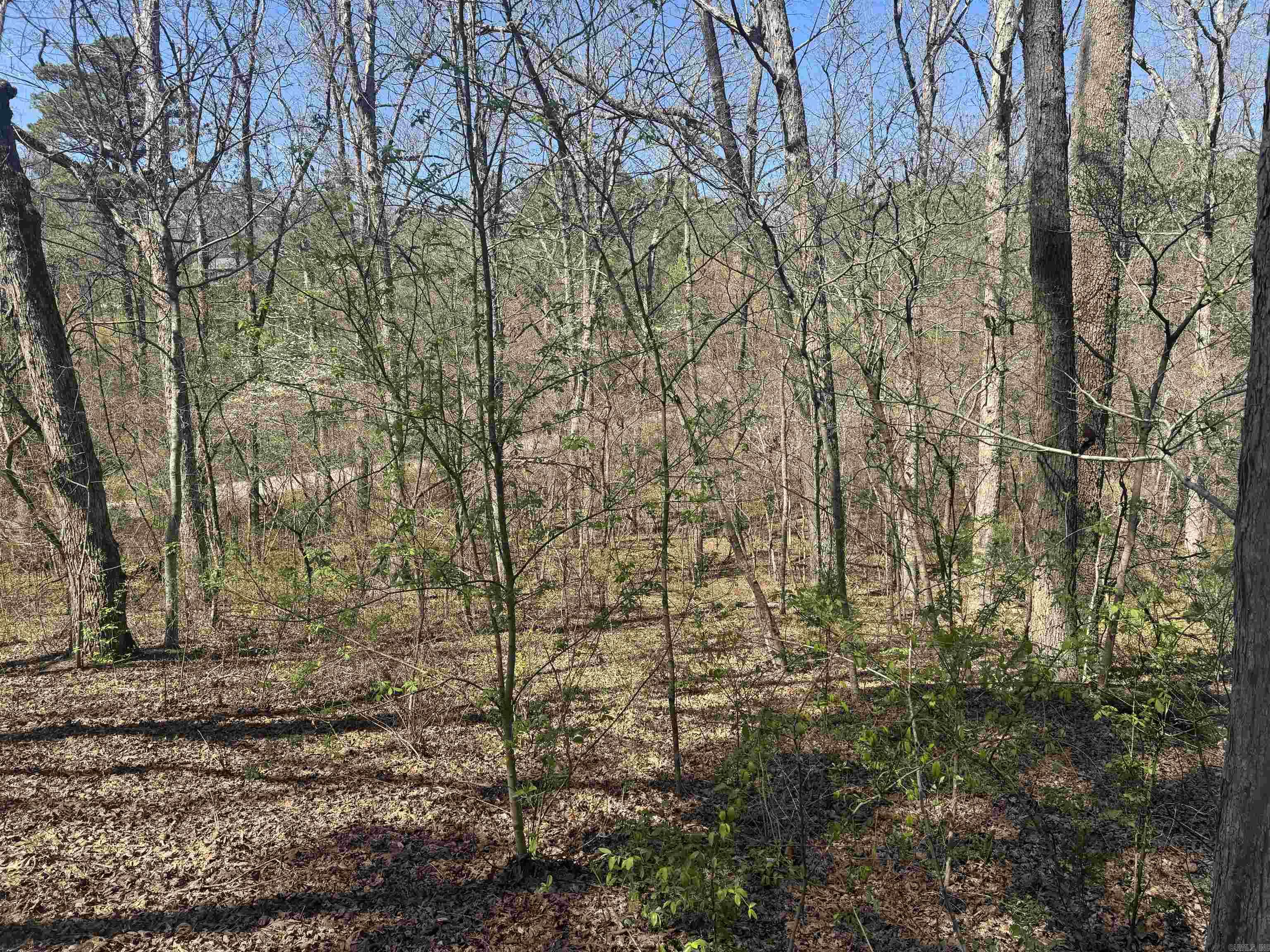 009-00062-000 HWY 177  Salesville, AR