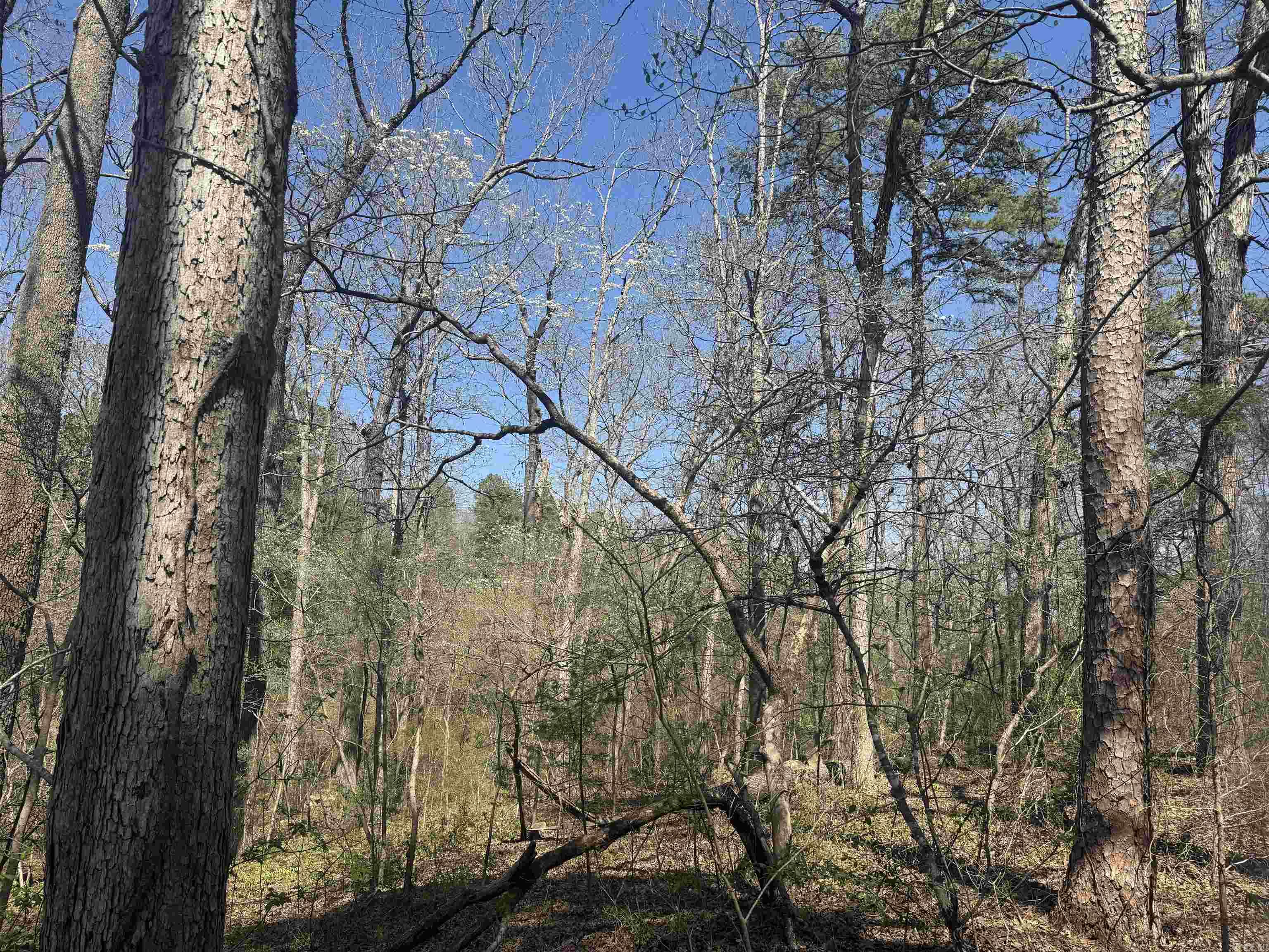 009-00062-000 HWY 177  Salesville, AR