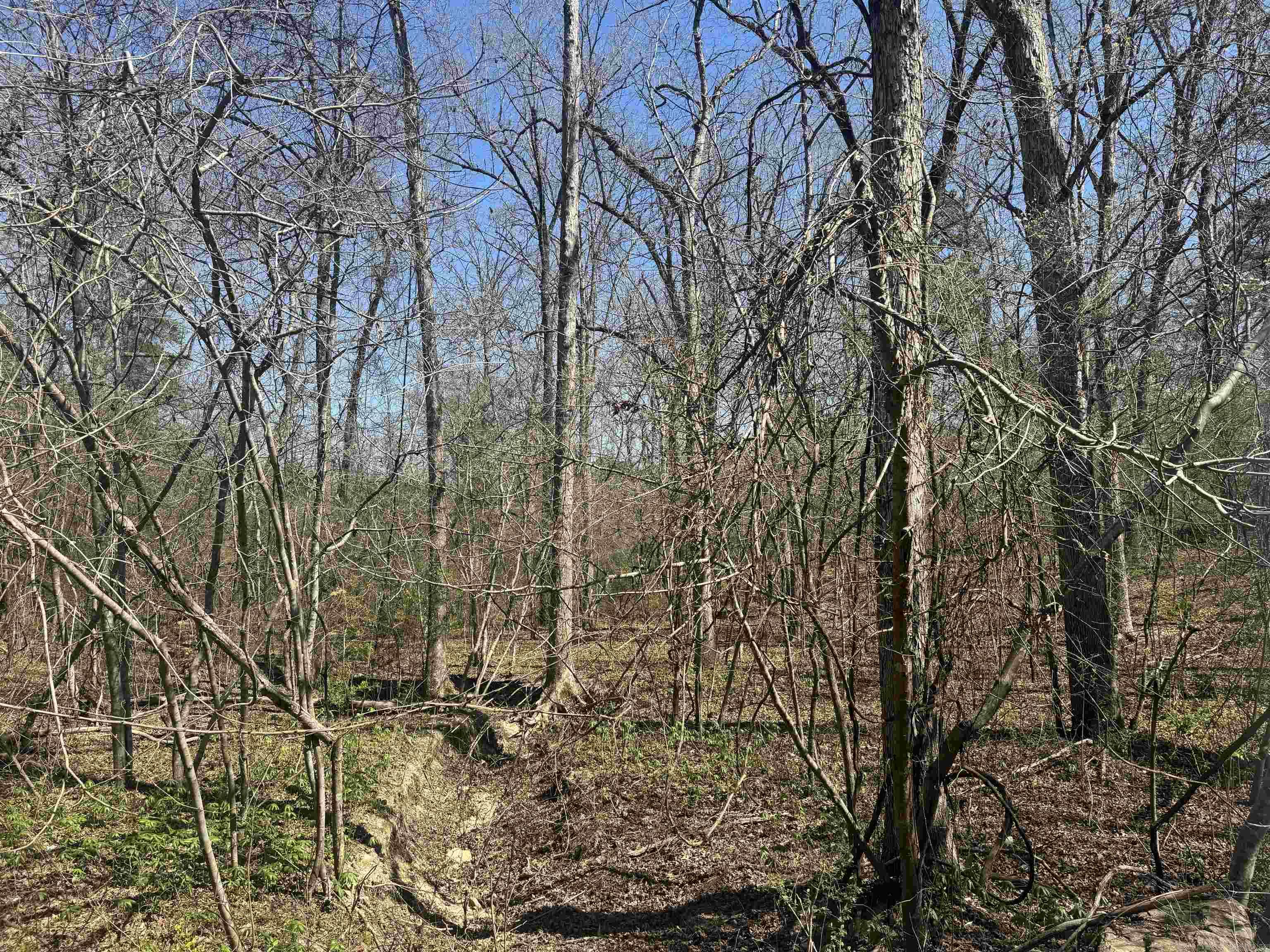 009-00062-000 HWY 177  Salesville, AR
