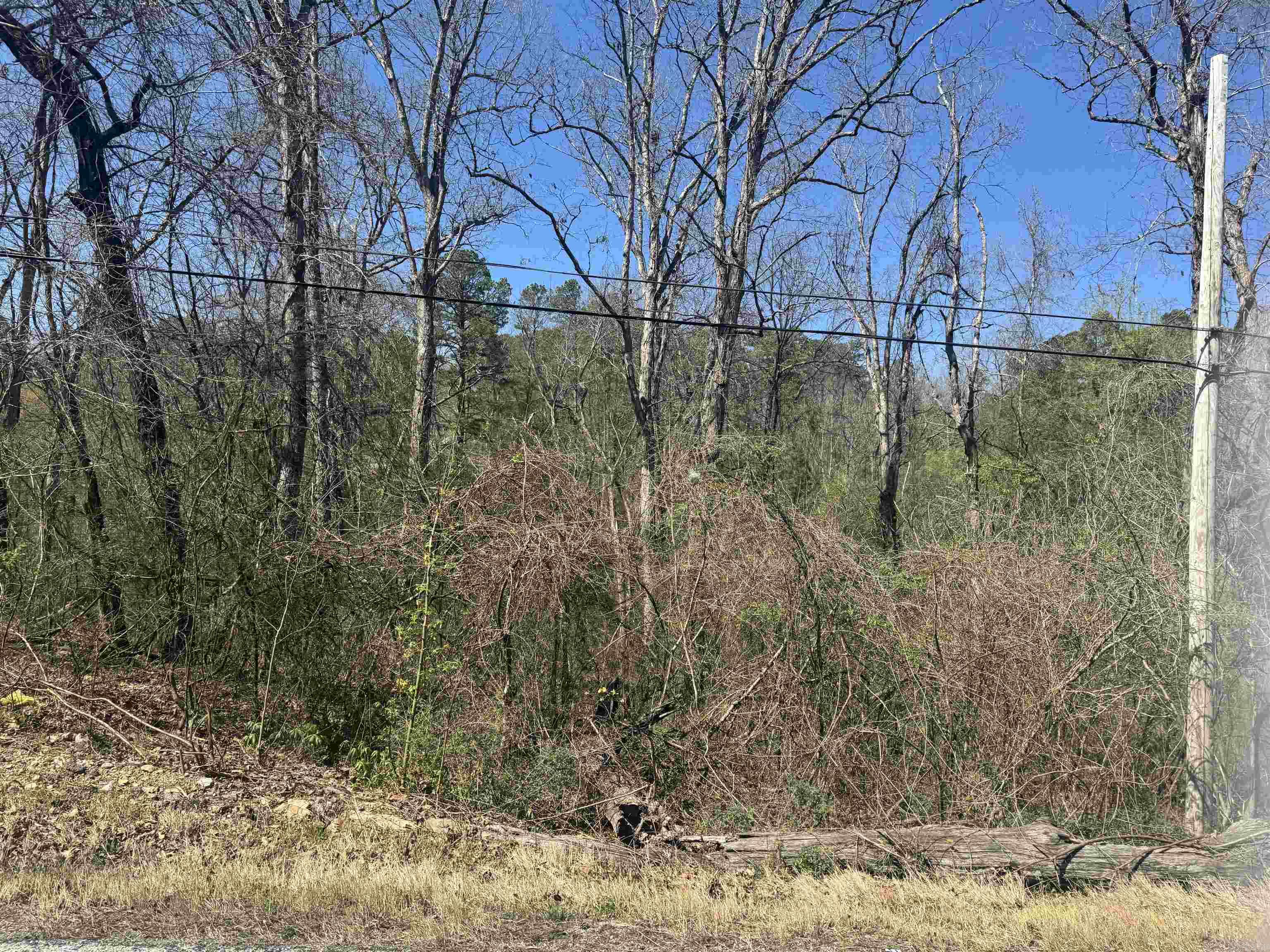 009-00062-000 HWY 177  Salesville, AR