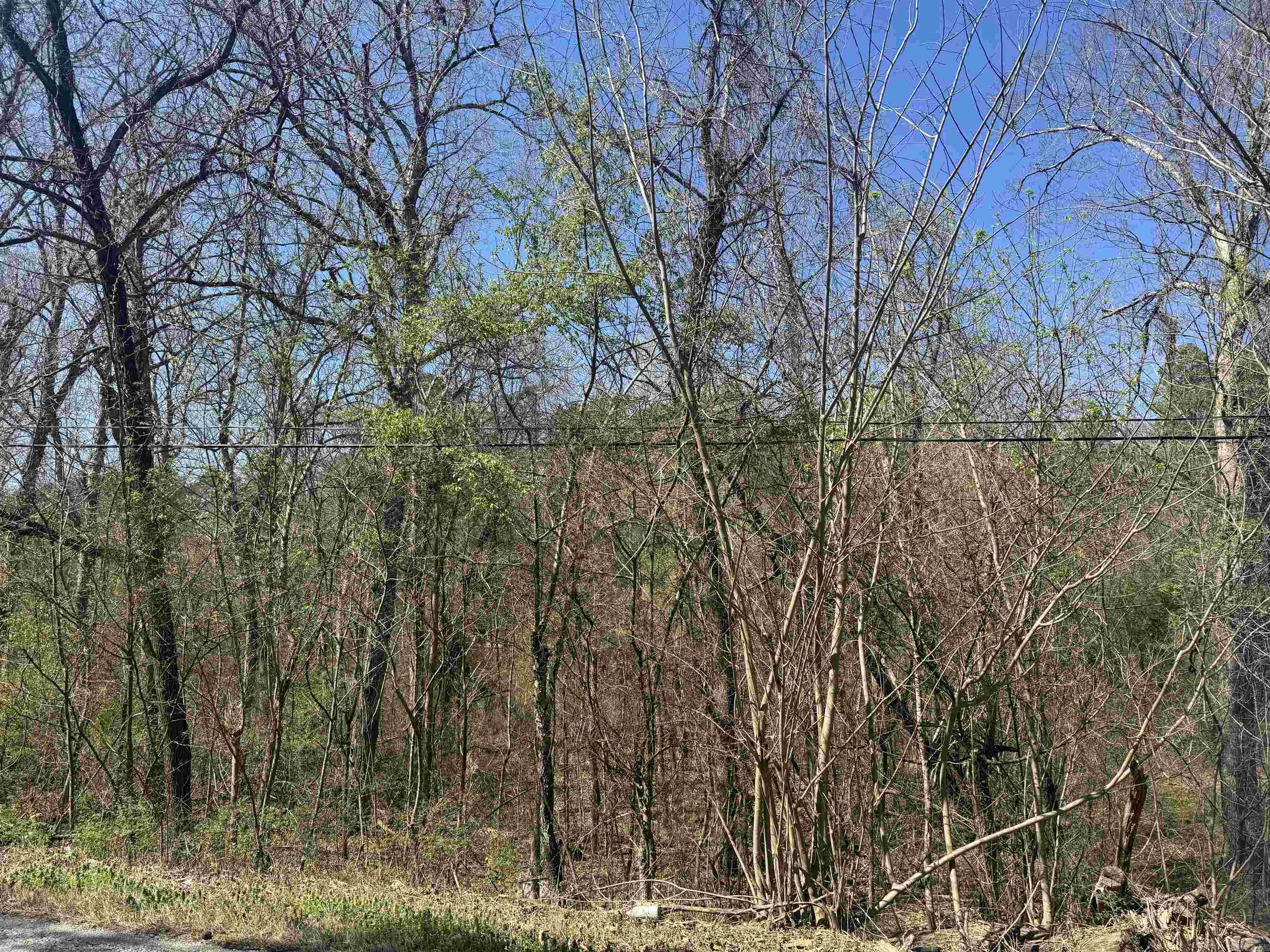 009-00062-000 HWY 177  Salesville, AR