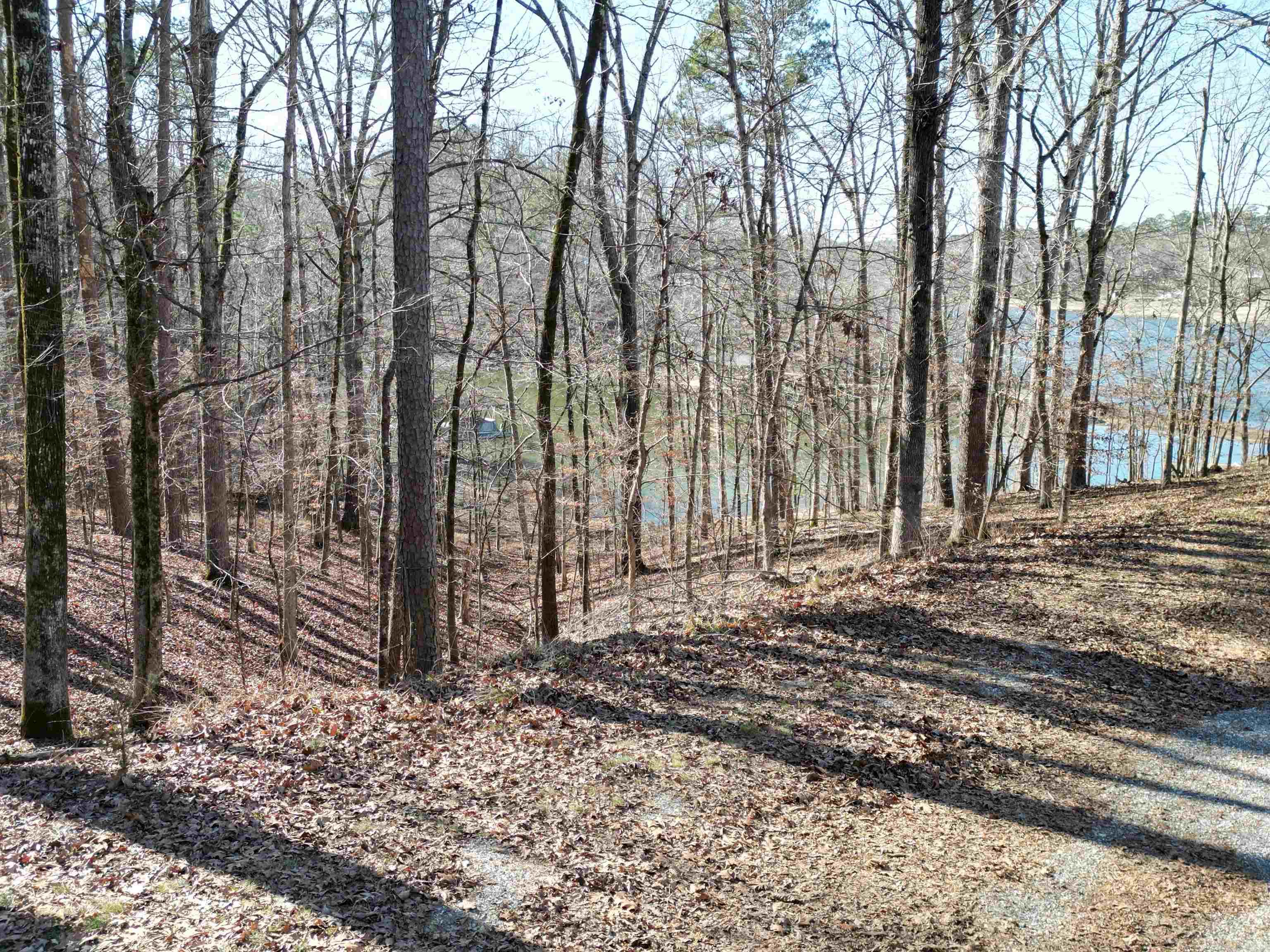 Lots 2989-2991 Ivy Hill  Hot Springs, AR