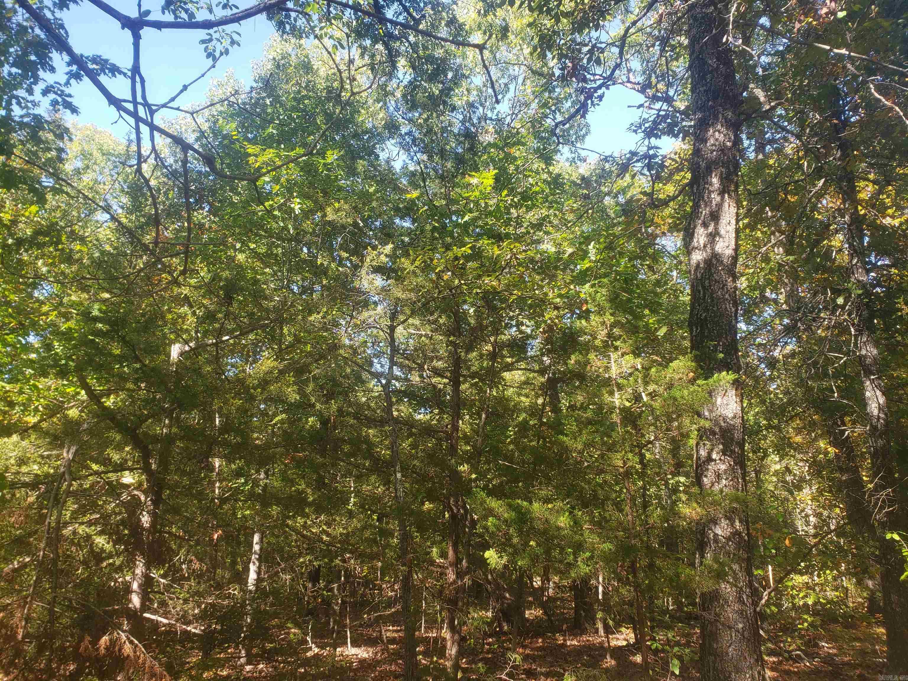 316 W Shady  Horseshoe Bend, AR
