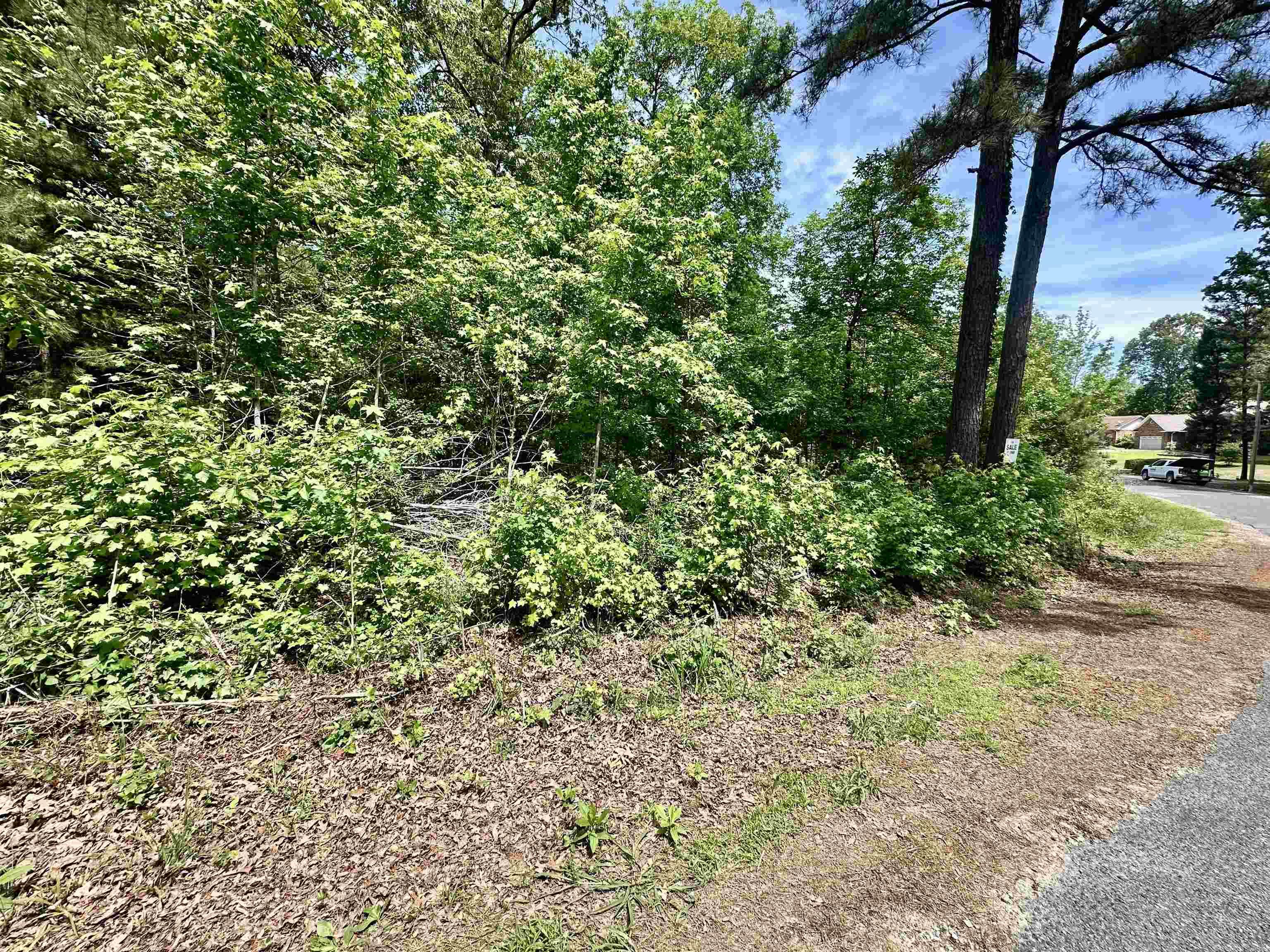 244 & 246 Scenic  Diamondhead, AR
