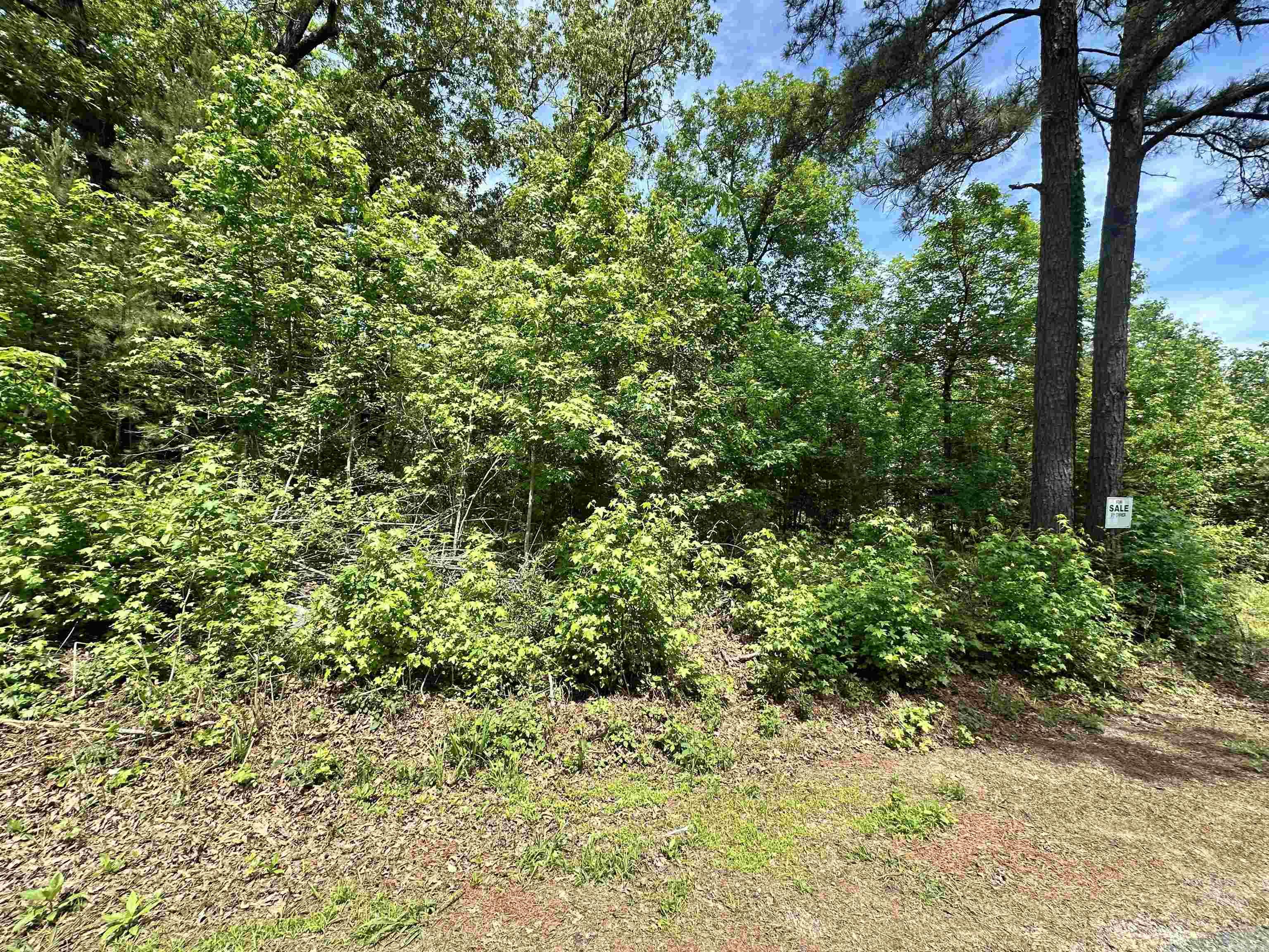244 & 246 Scenic  Diamondhead, AR