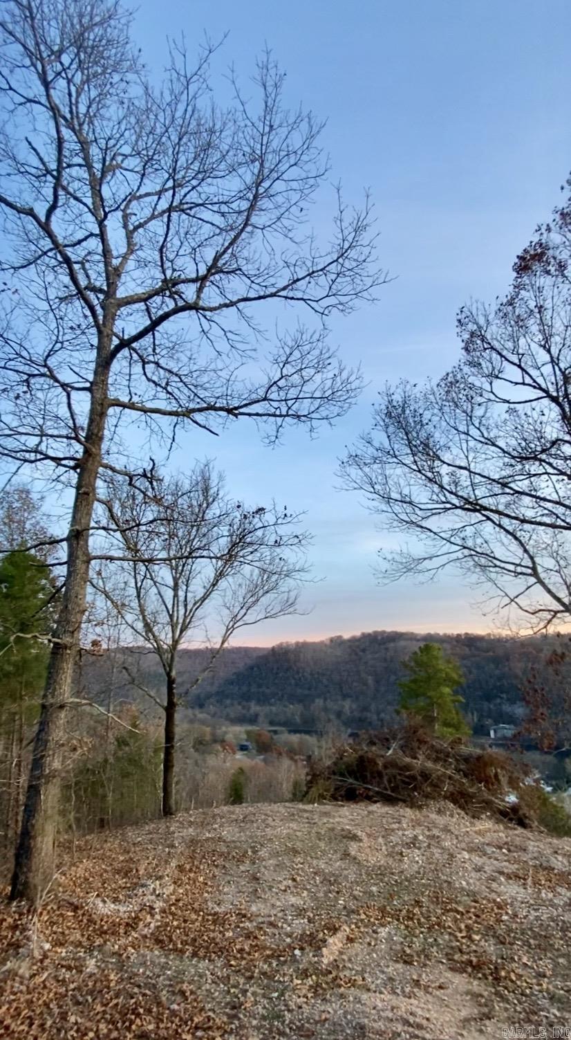 335 Mountain Retreat  Mountain View, AR