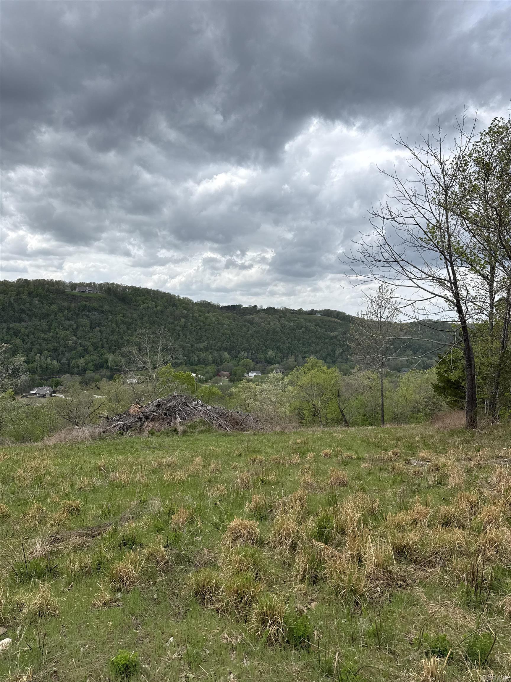 335 Mountain Retreat  Mountain View, AR