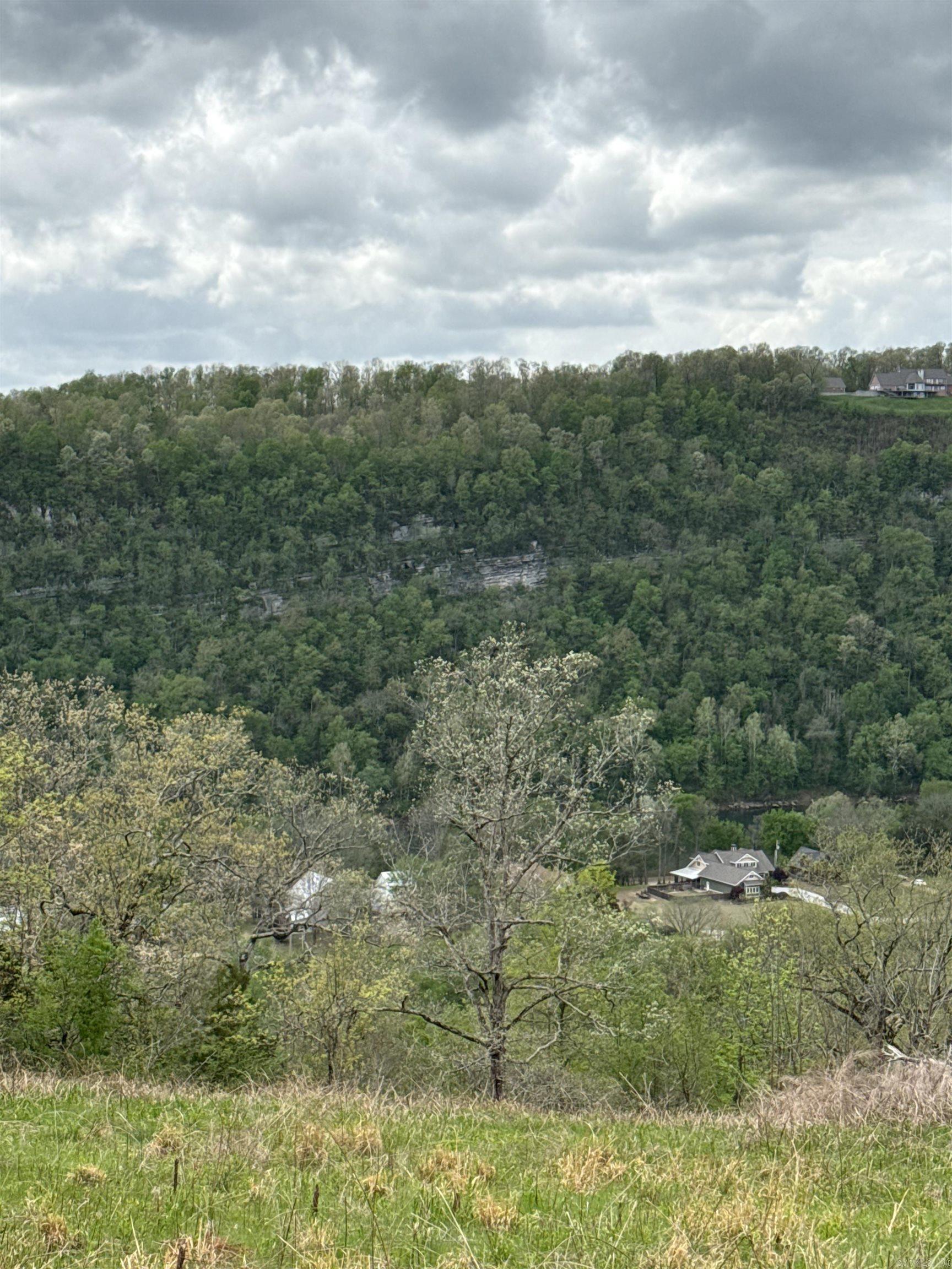 335 Mountain Retreat  Mountain View, AR