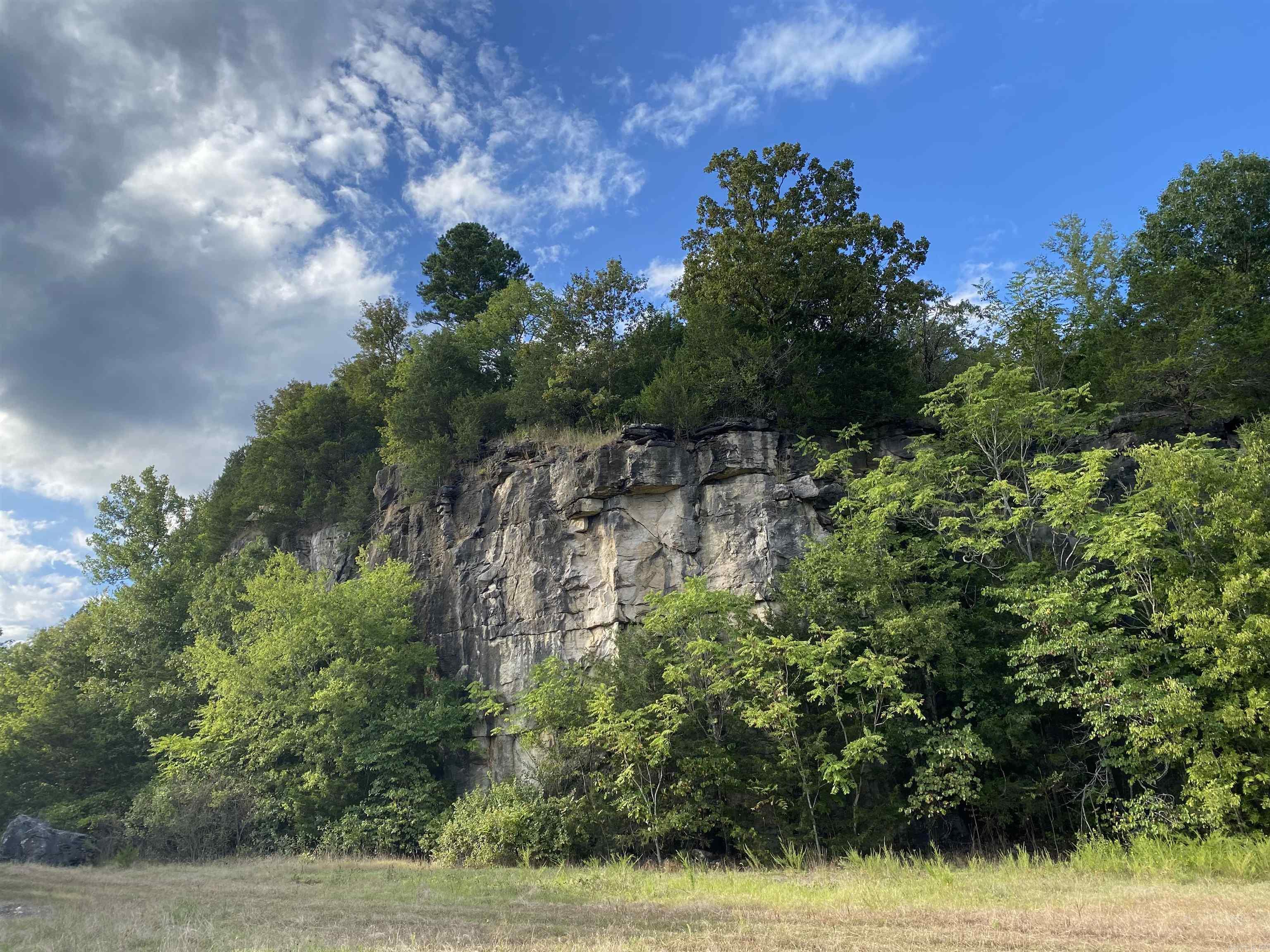 335 Mountain Retreat  Mountain View, AR