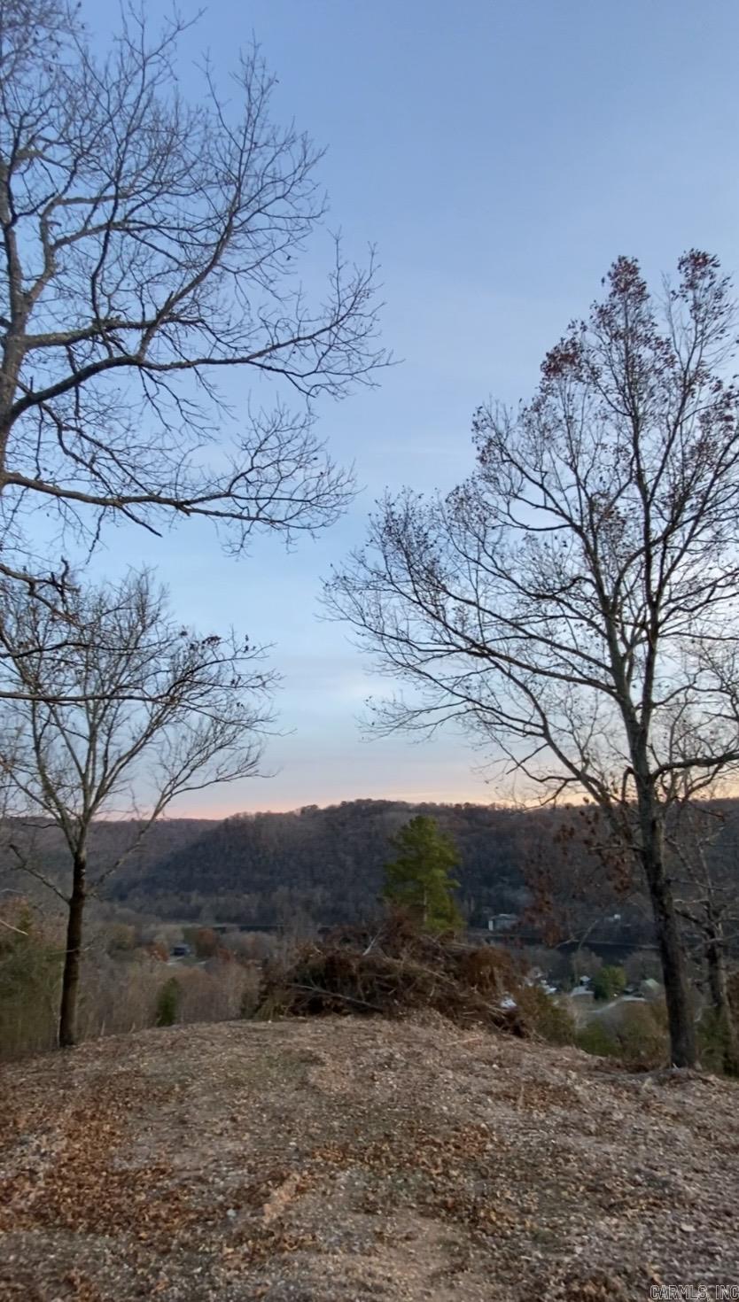 335 Mountain Retreat  Mountain View, AR