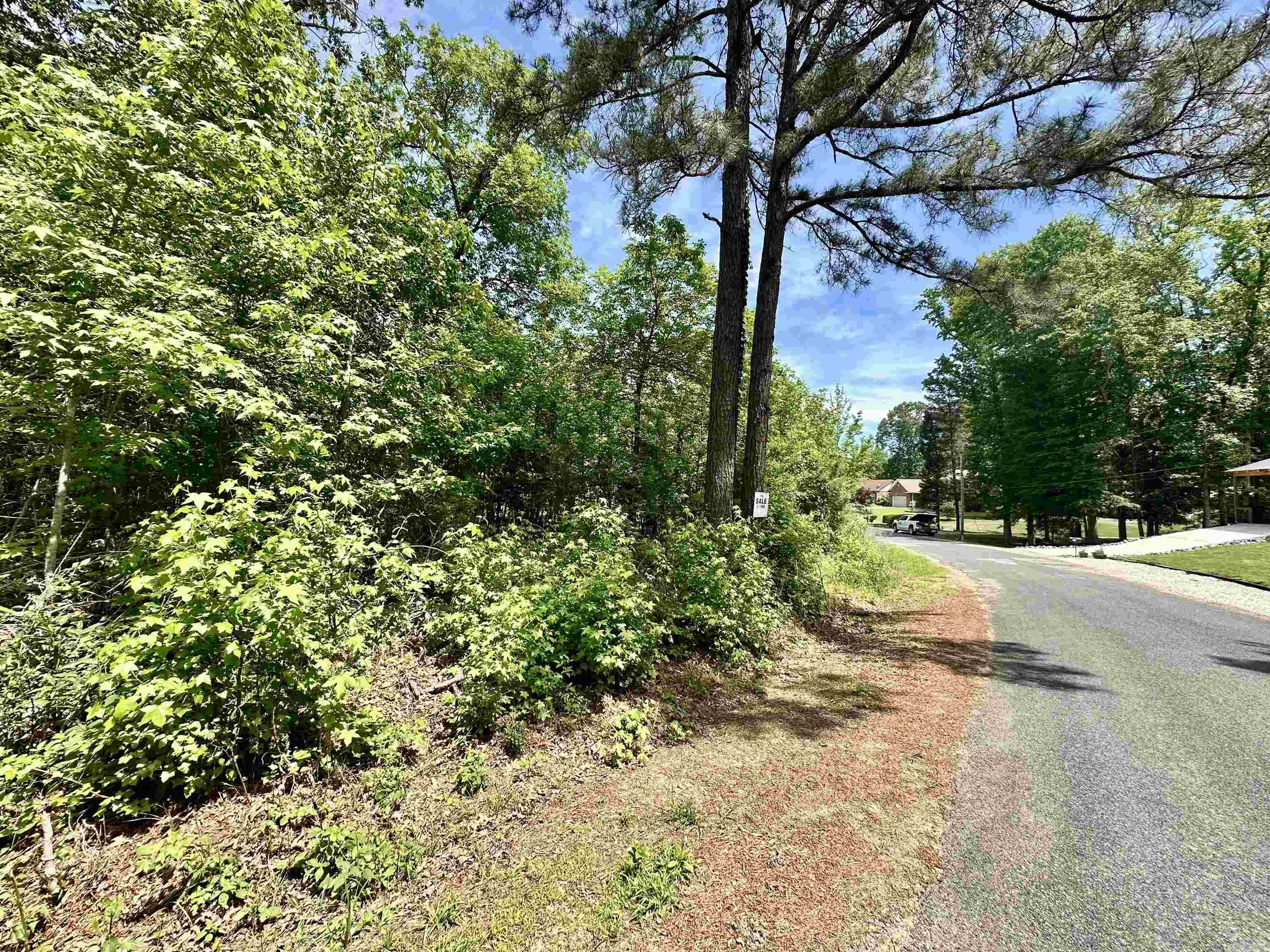 246 Scenic  Diamondhead, AR