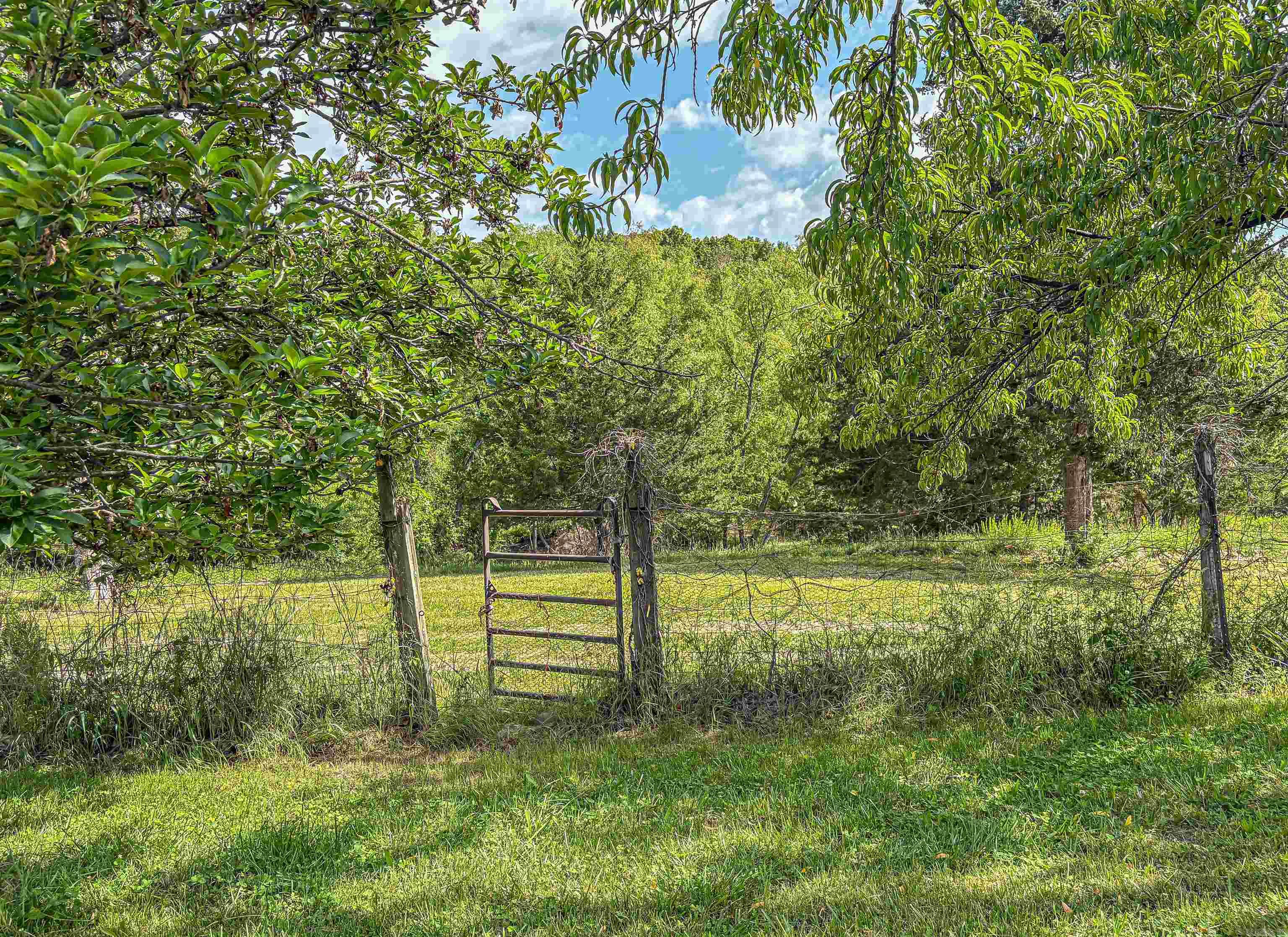 1265 MC 4044  Yellville, AR