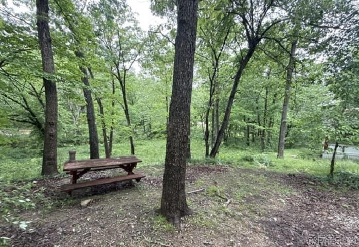 54 Ponderosa Cir  Williford, AR