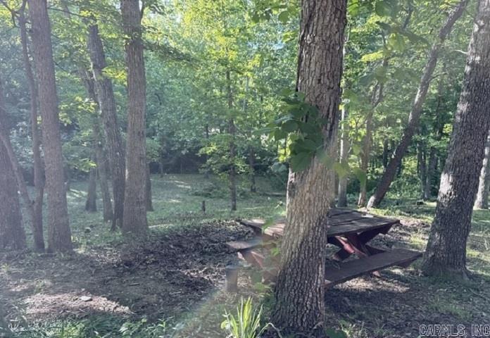 54 Ponderosa Cir  Williford, AR