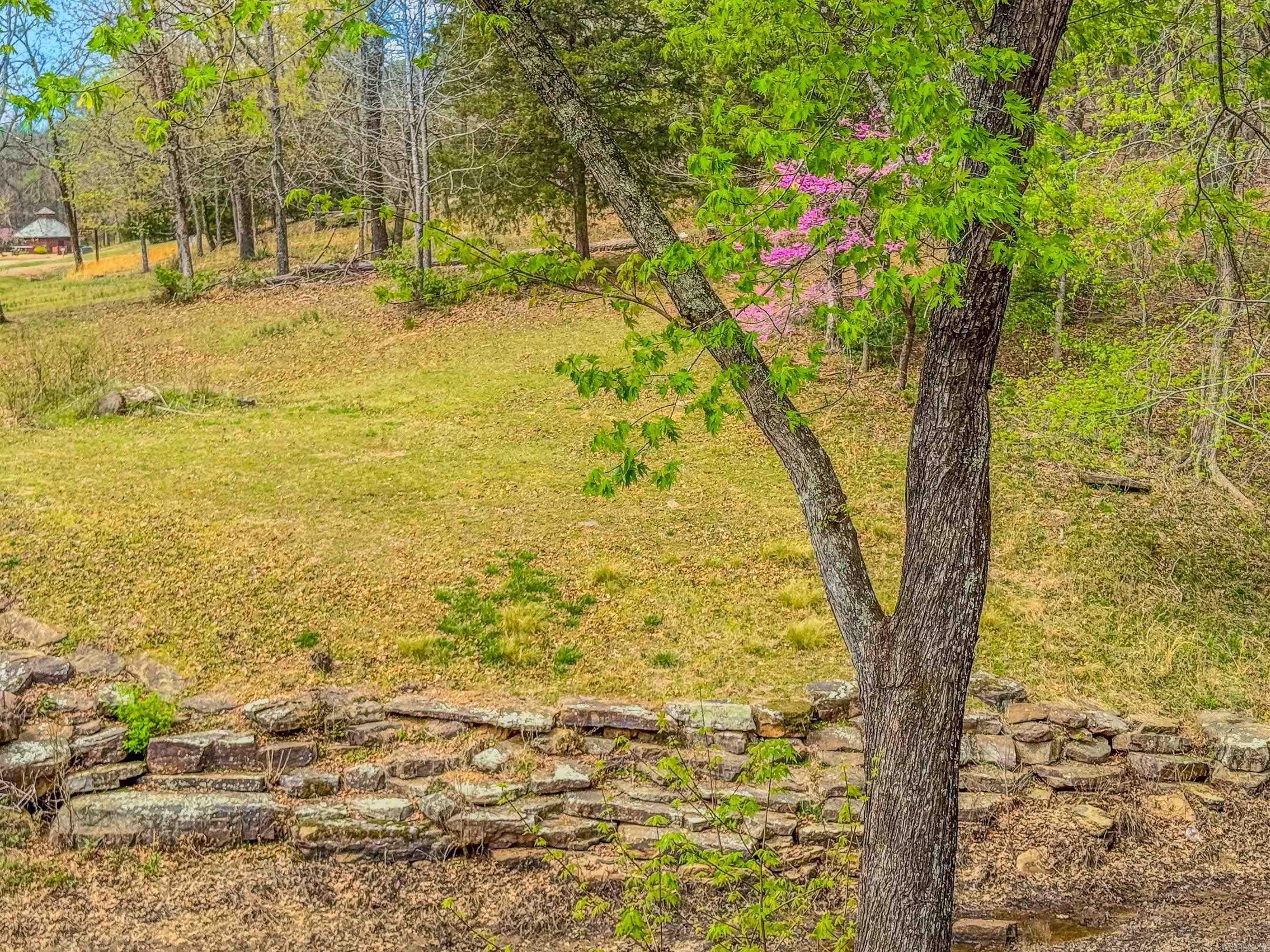 295 Primrose Creek Drive  Heber Springs, AR