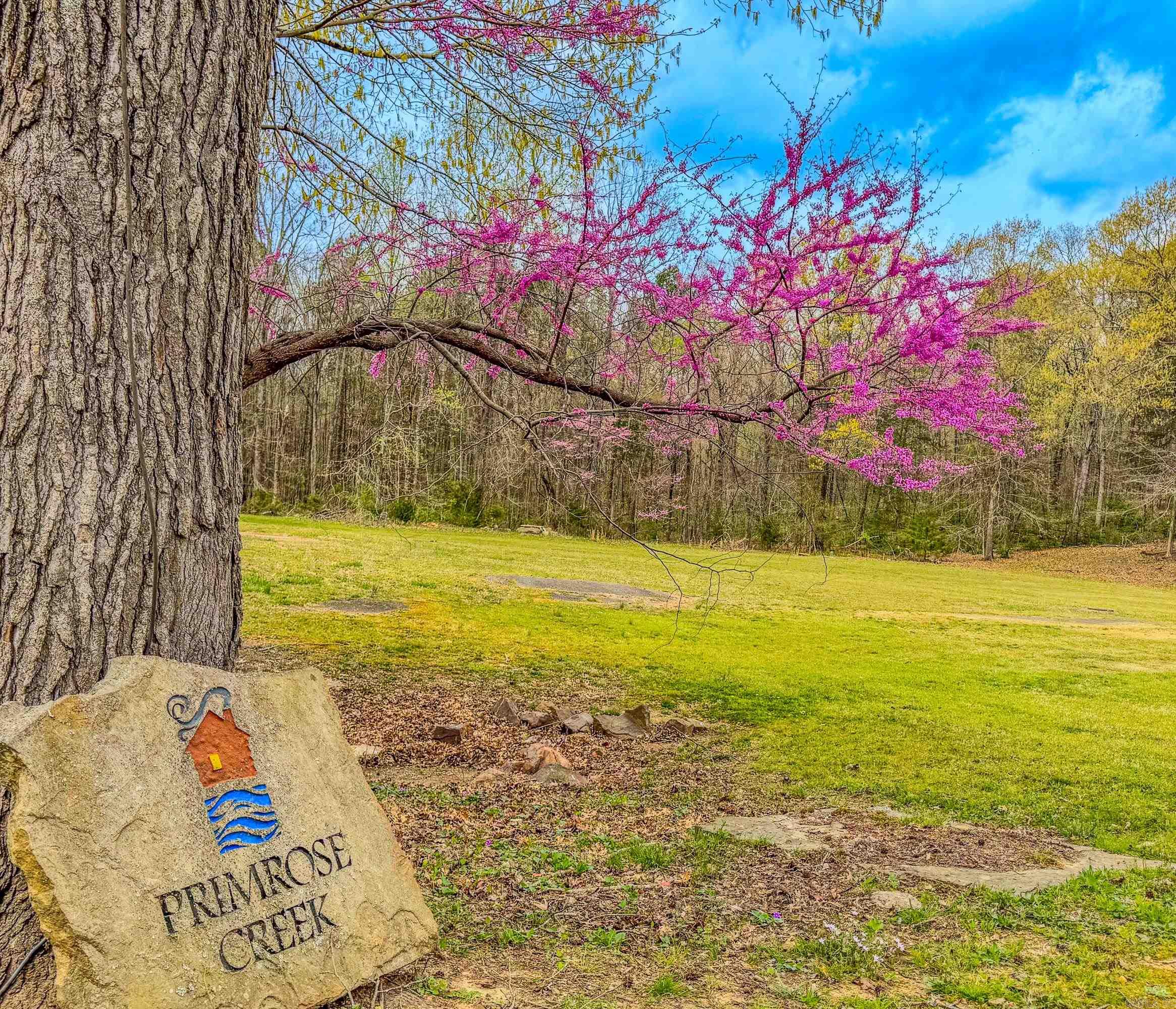 295 Primrose Creek Drive  Heber Springs, AR