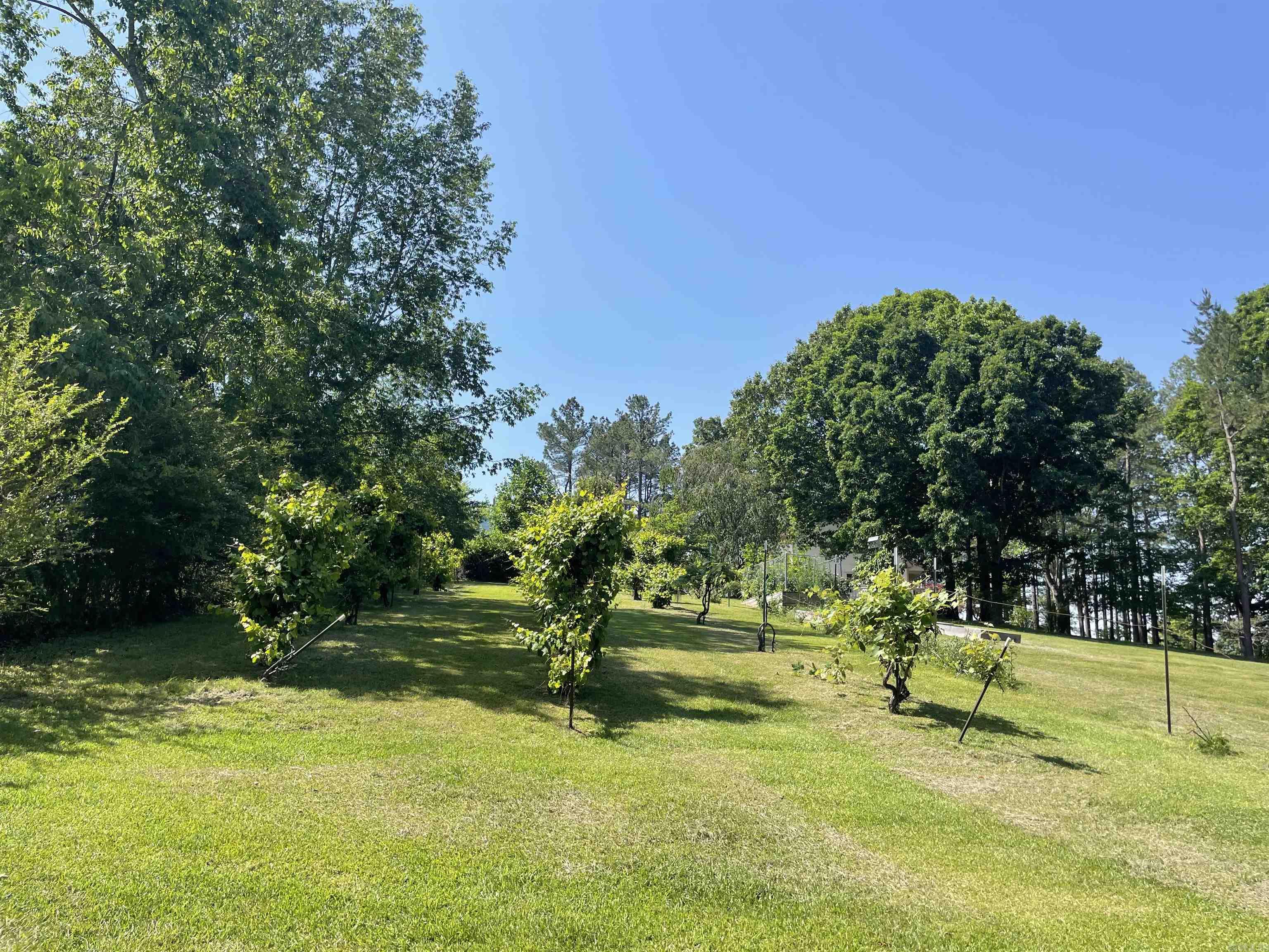 1044 Whipporwill  Mountain View, AR