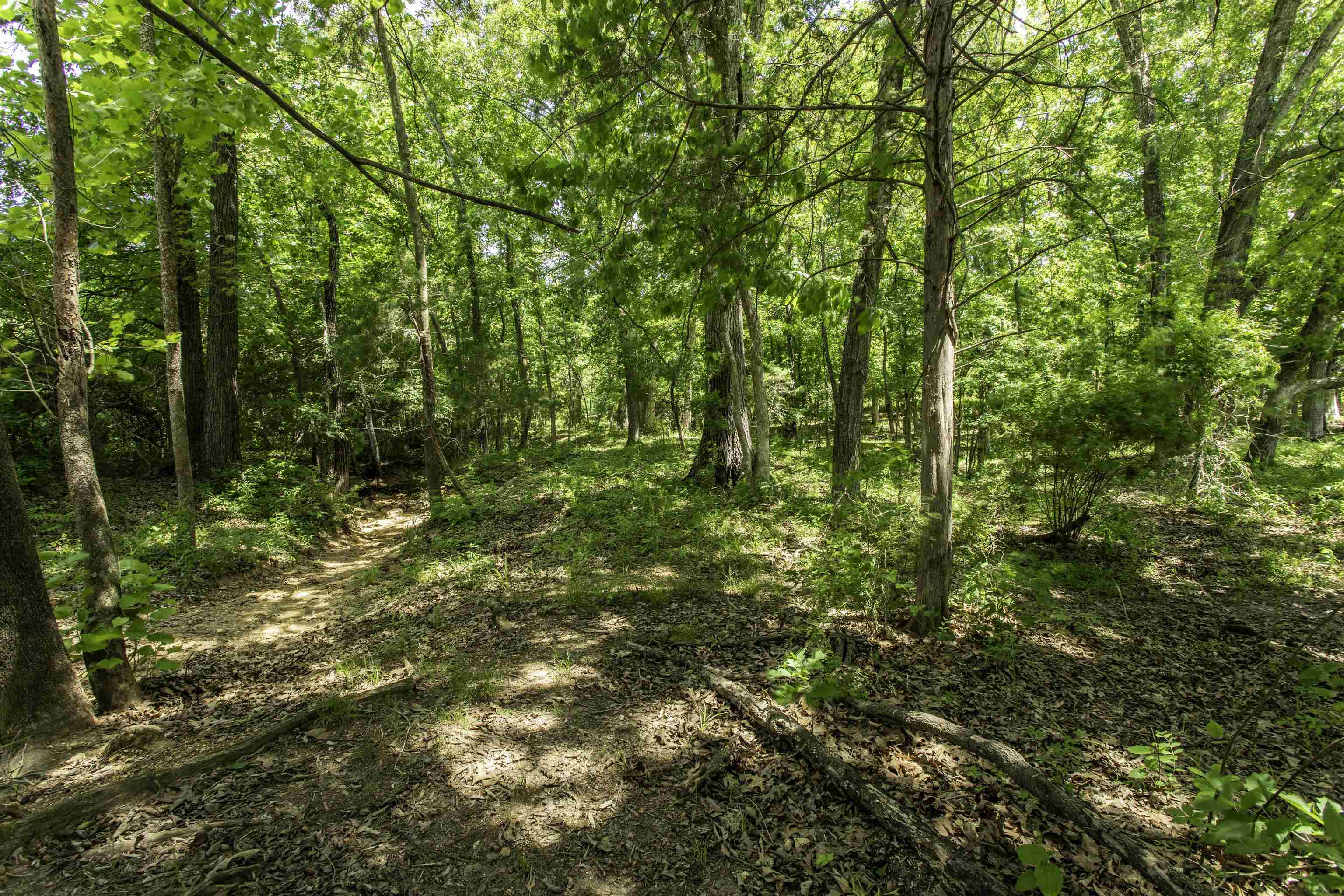 938 Lawrence 106  Ravenden, AR