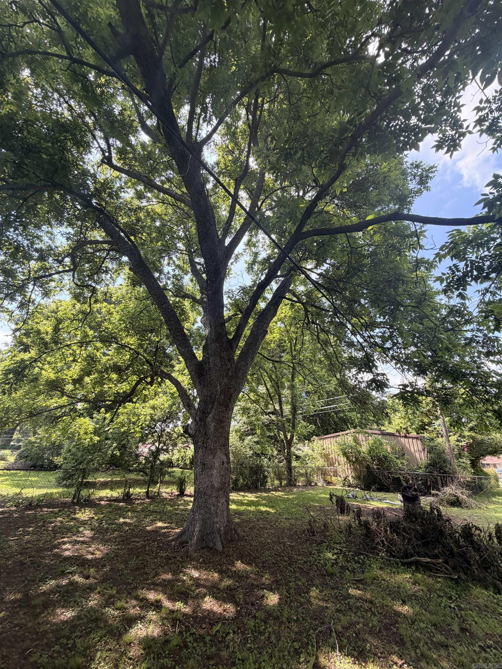 1801 BELMOOR  Pine Bluff, AR
