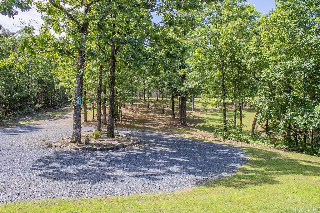 131 Polk Road 295  Hatfield, AR