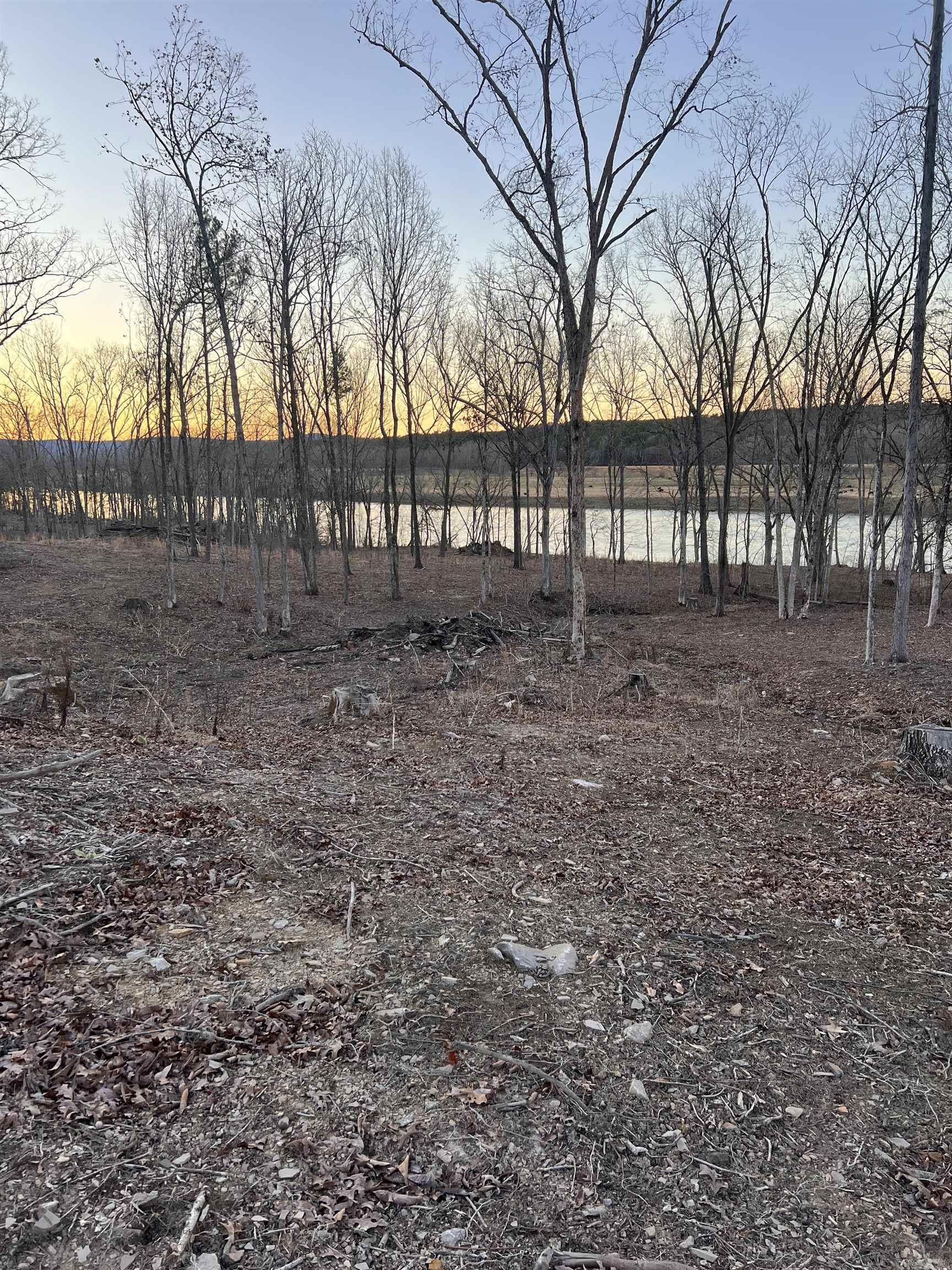 Tract 2 Mountain View  Locust Grove, AR