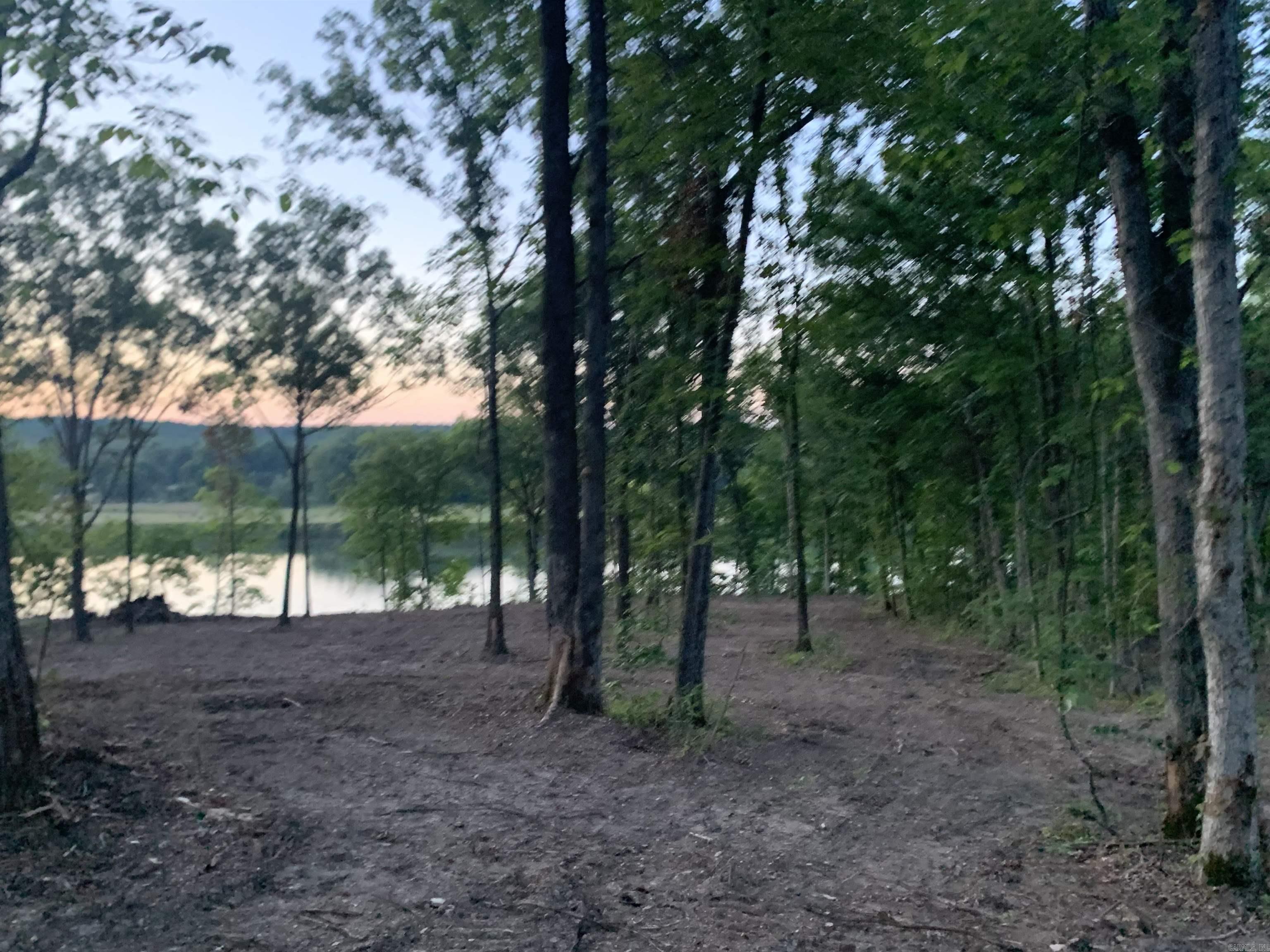 Tract 2 Mountain View  Locust Grove, AR