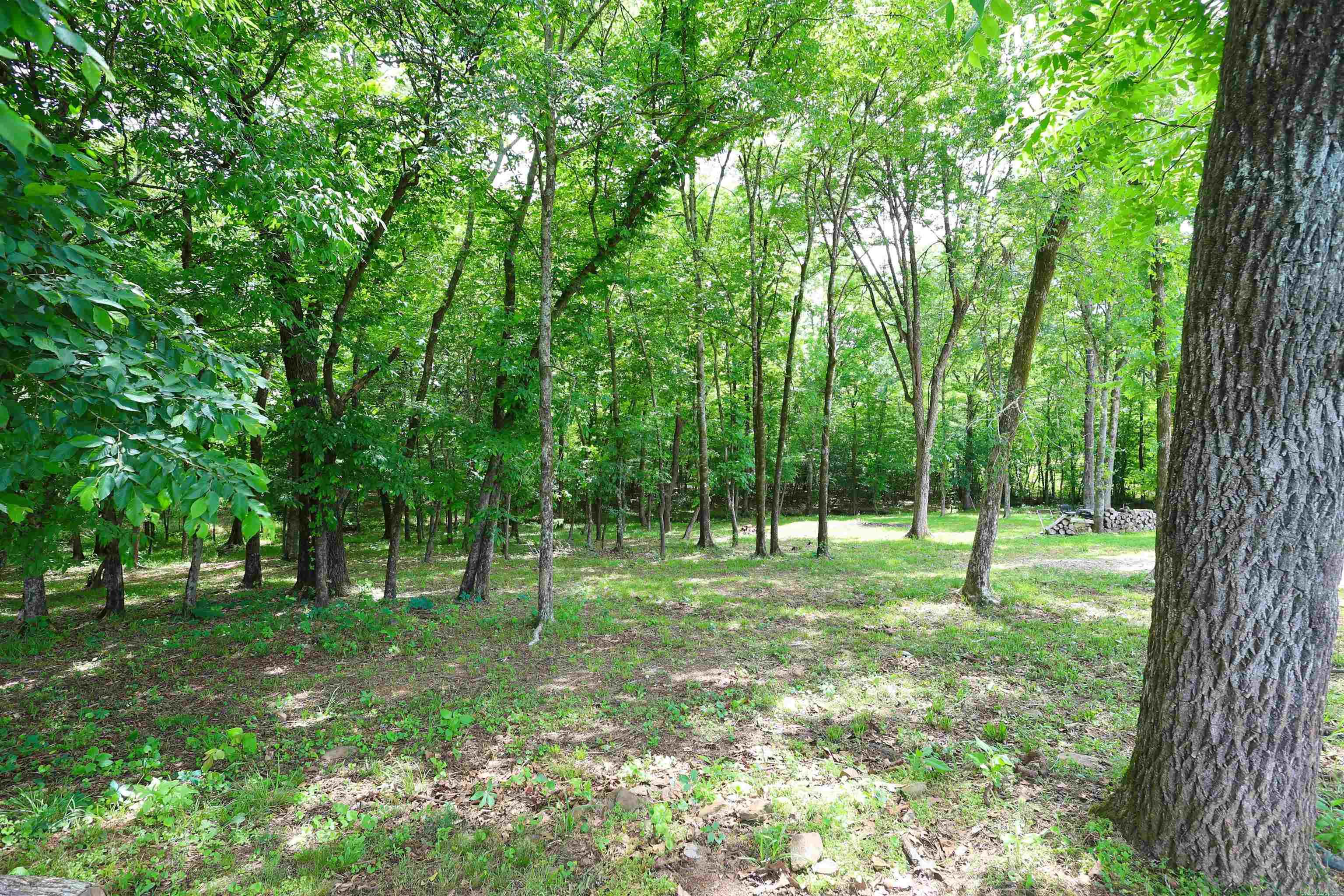 20 Reva's Retreat  Story, AR