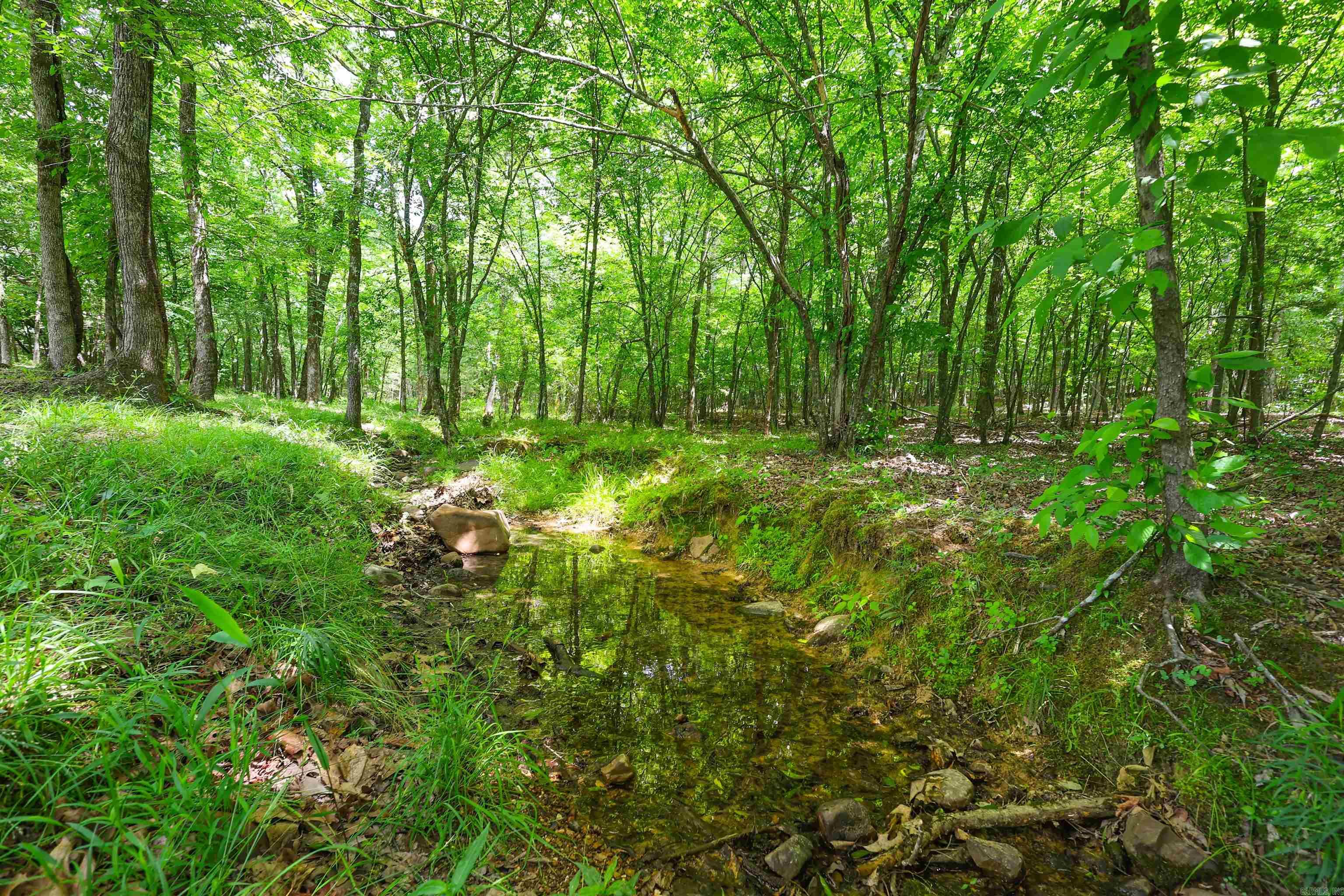 20 Reva's Retreat  Story, AR