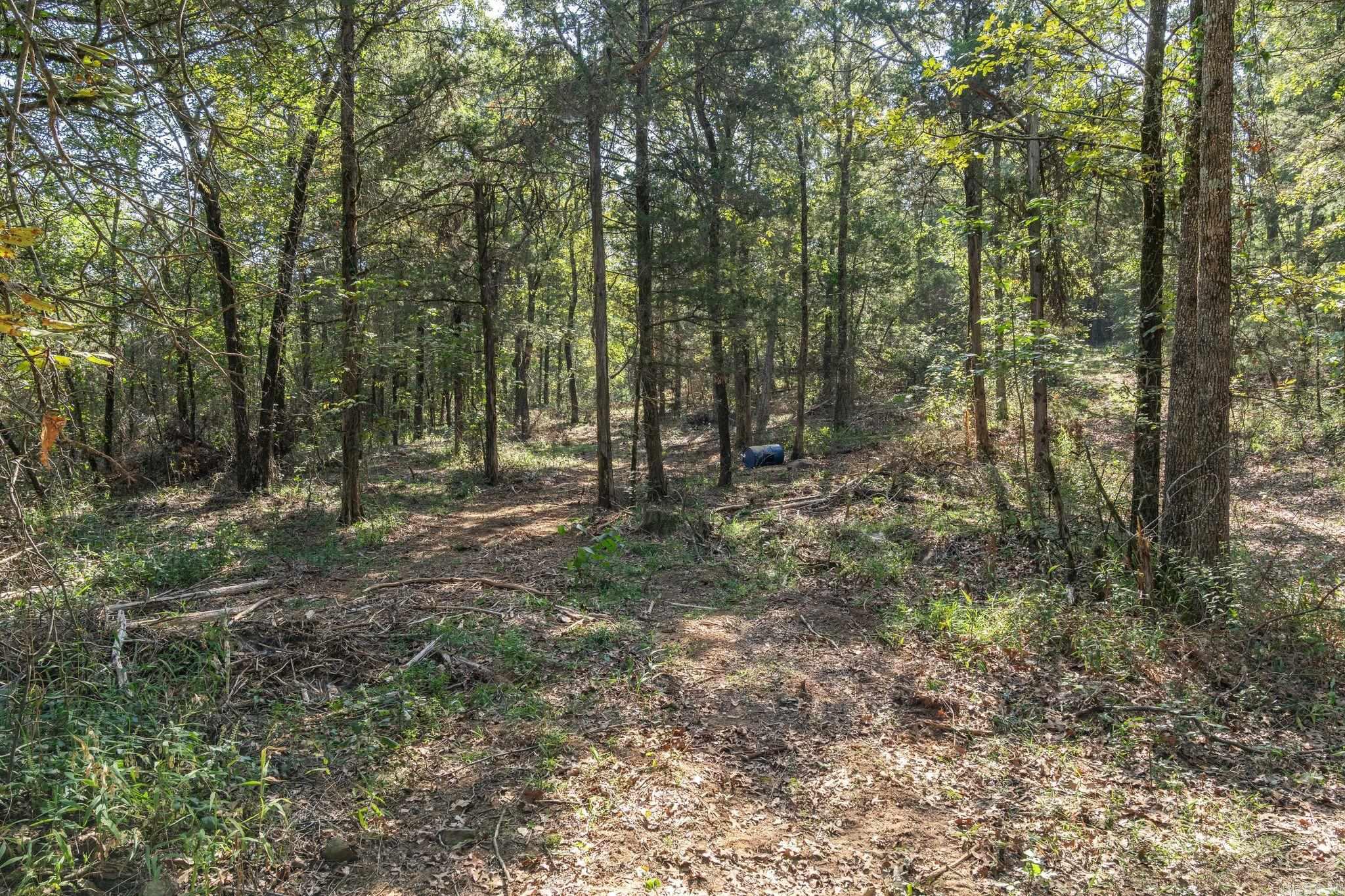 3024 Red Bench rd  Paris, AR