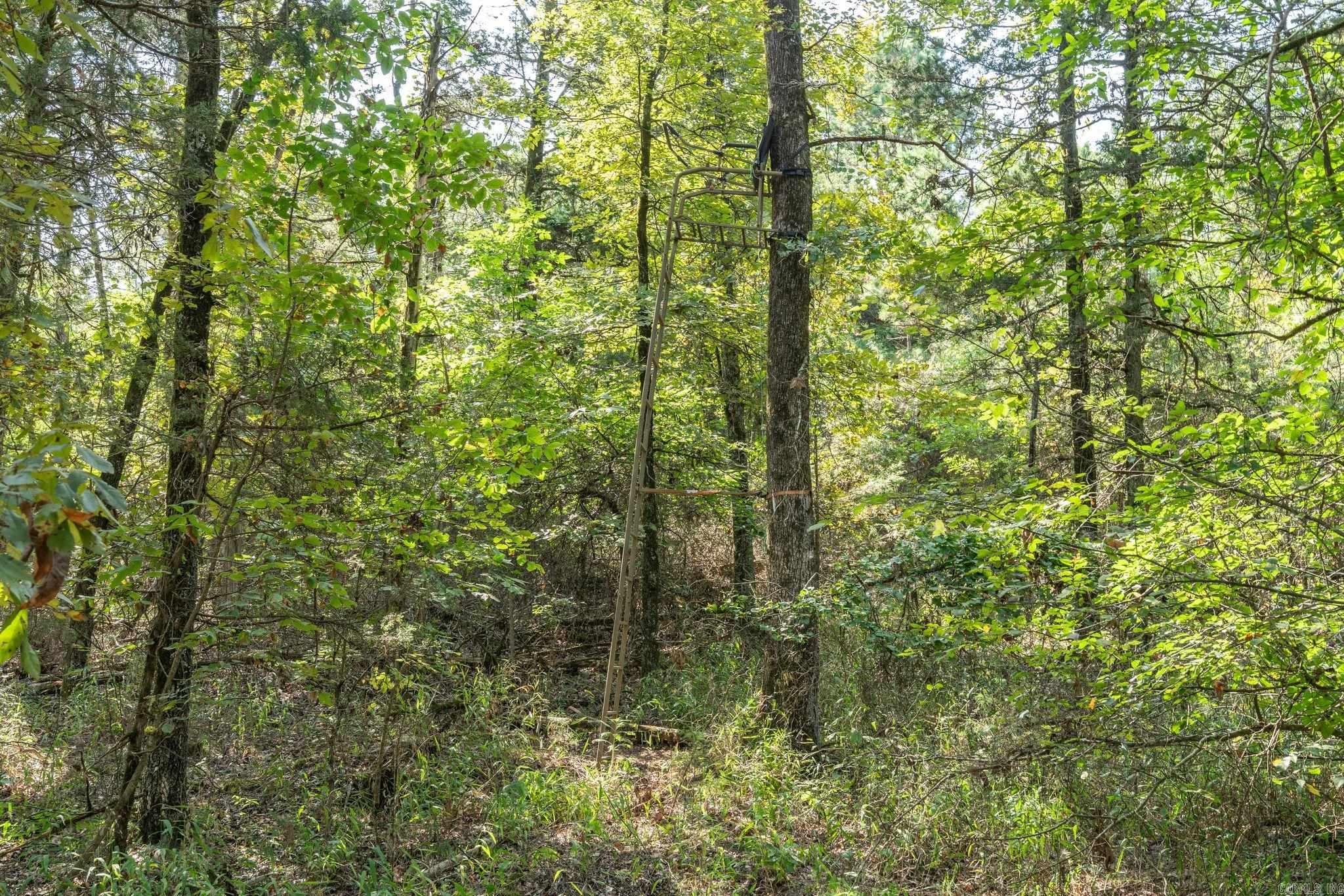 3024 Red Bench rd  Paris, AR